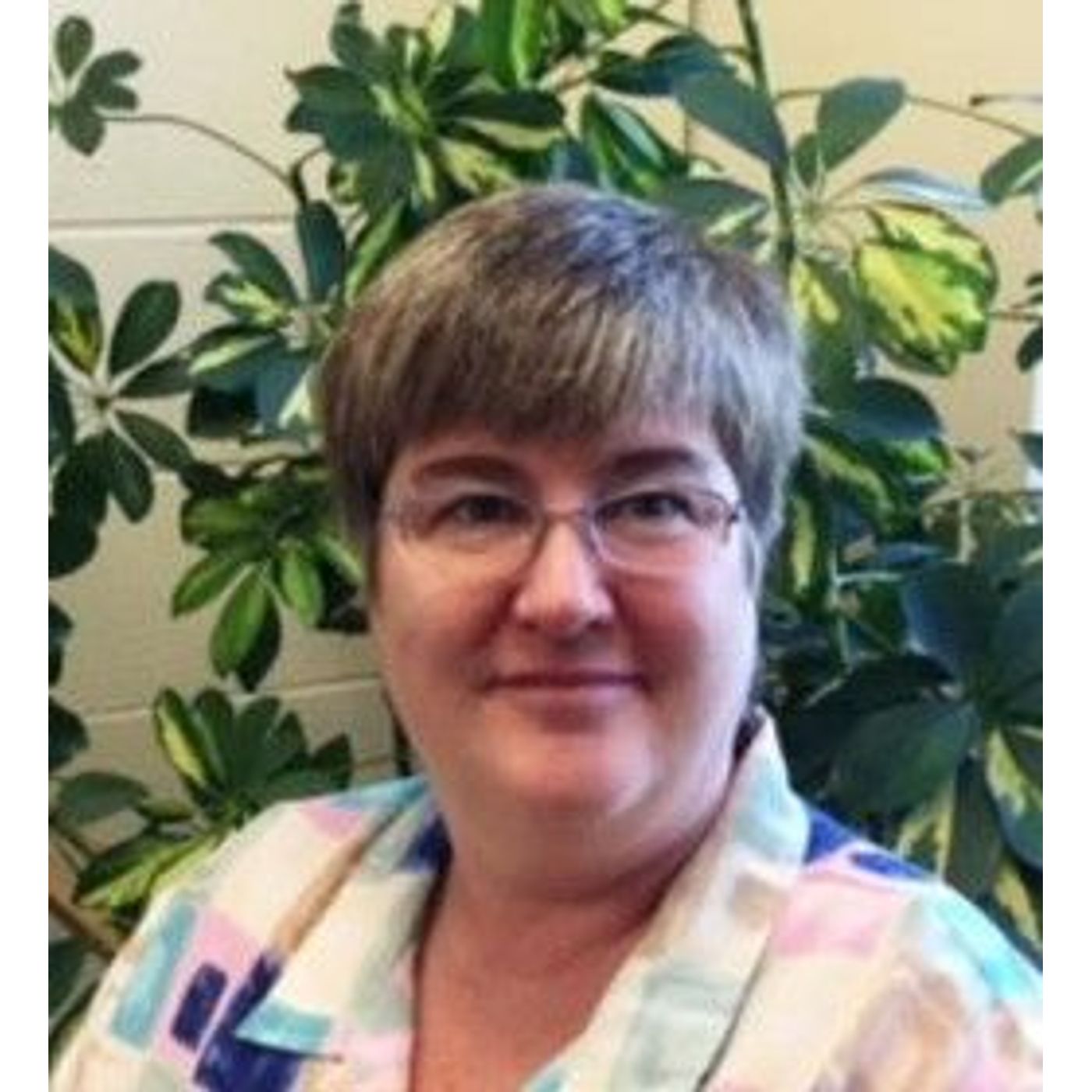 Brunswick schools hires new finance director episode artwork