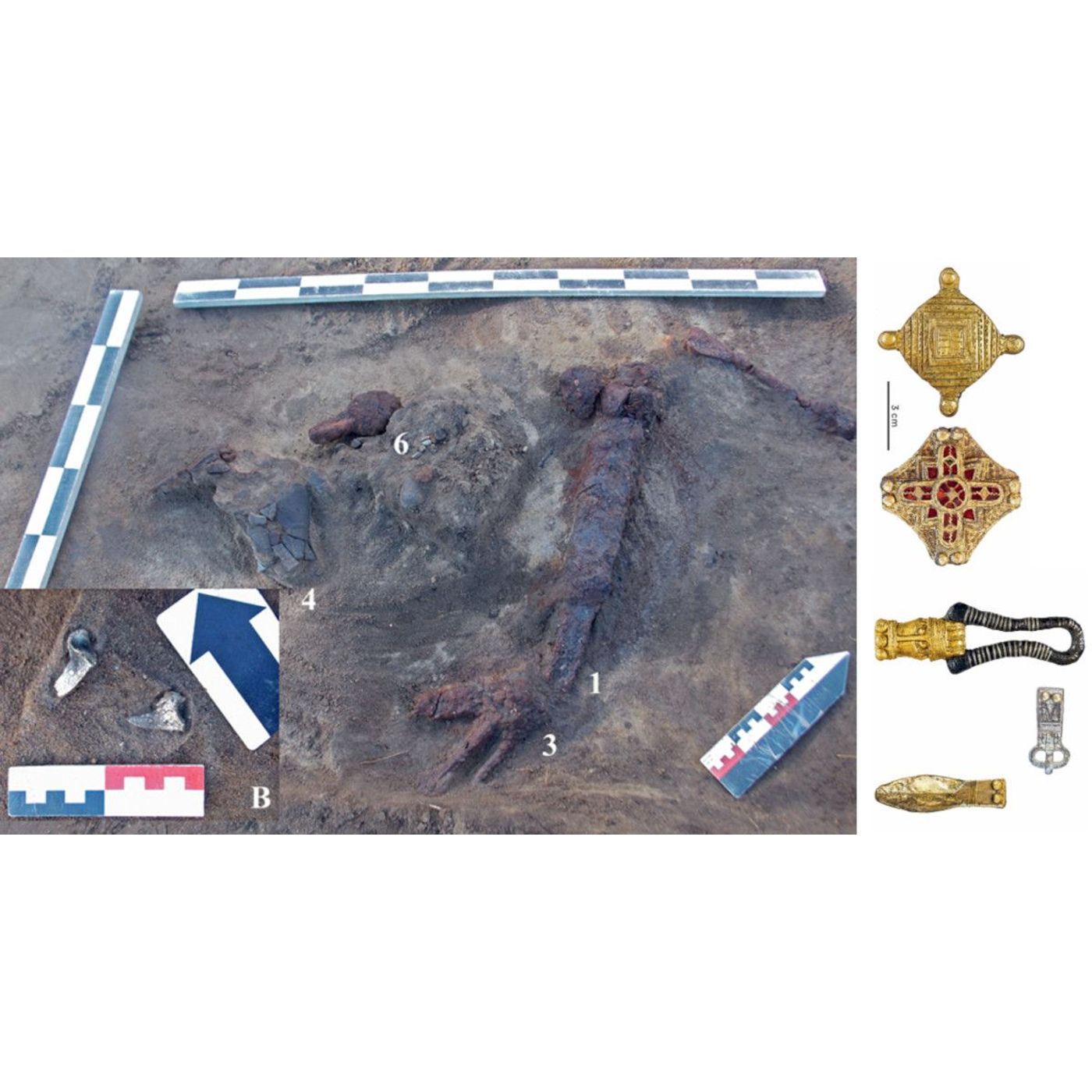 Bear Claws, Swords and Jewelry Unearthed in 1,400-Year-Old Elite Burials | Ancient Origins episode artwork