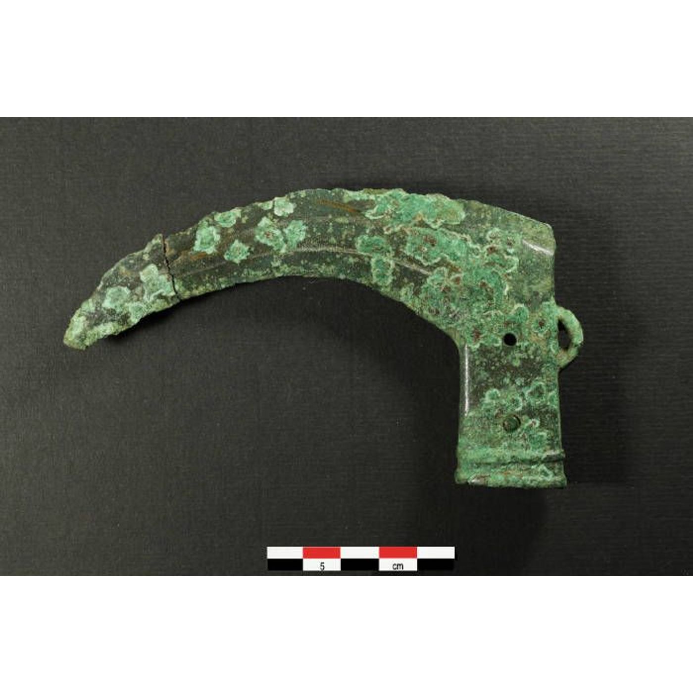 Perfect Rare British Bronze Age Sickle Found in France | Ancient Origins