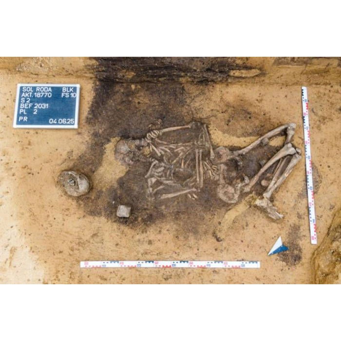4,500-Year-Old Dog Teeth Adorned Bags Found in Germany | Ancient Origins