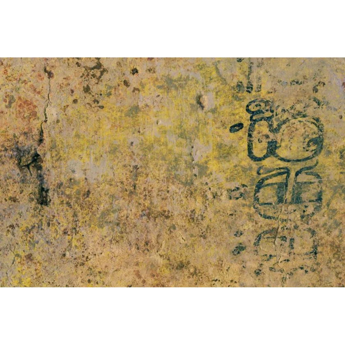 First Known Maya Mathematician's Name Decoded After 1,200 Years episode artwork