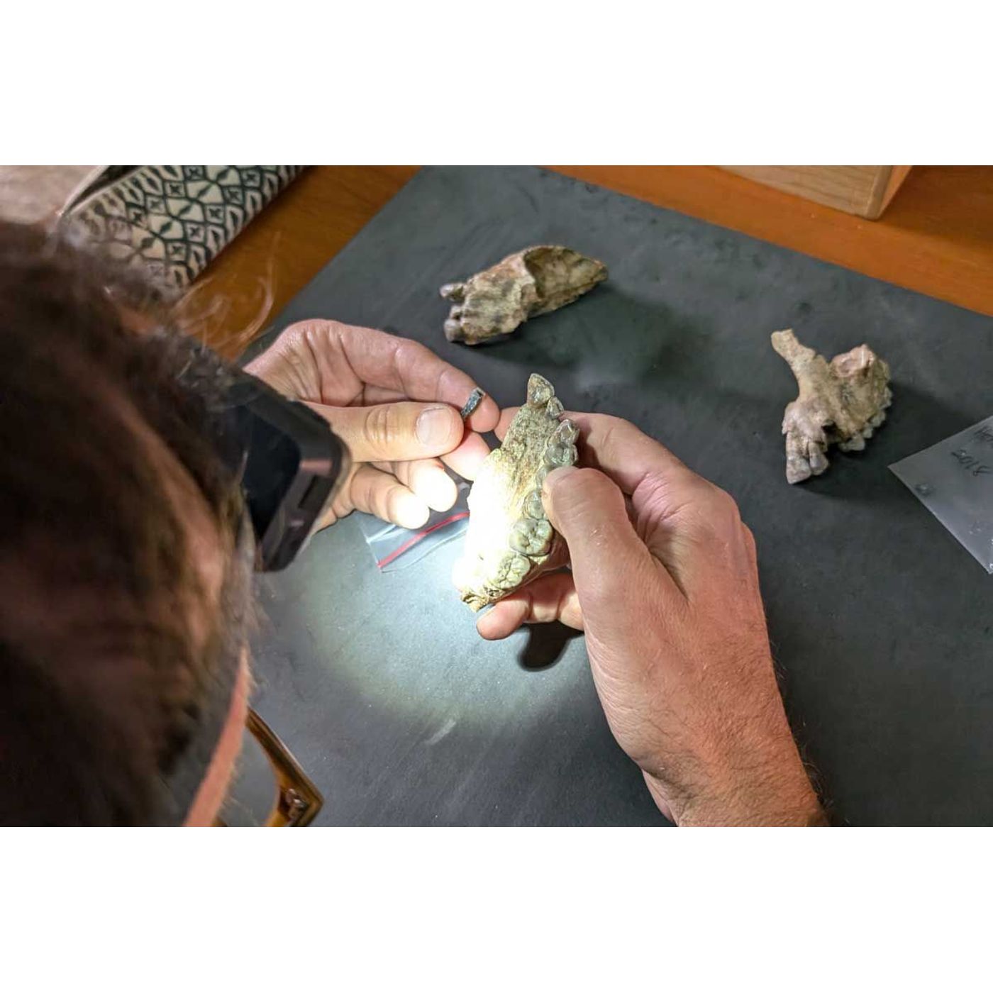 Stunning Fossil Discovery in Ethiopia Rewrites Human Origins | Ancient Origins episode artwork