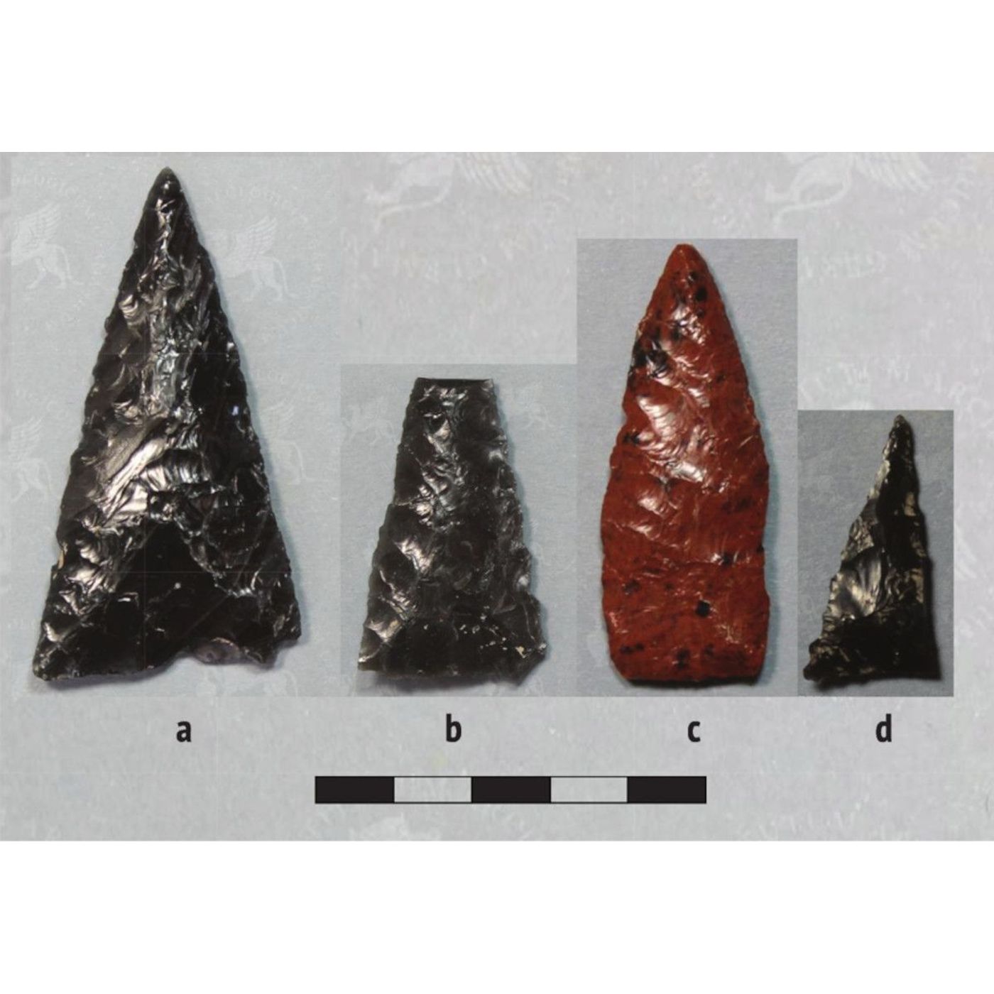 Paracas Weapons Point to Darts, Not Bows, in Ancient Peru | Ancient Origins