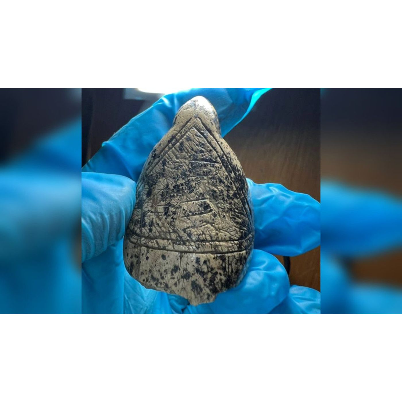 Ice Age Artists Turned Mammoth Tusk Growth Lines into Art | Ancient Origins
