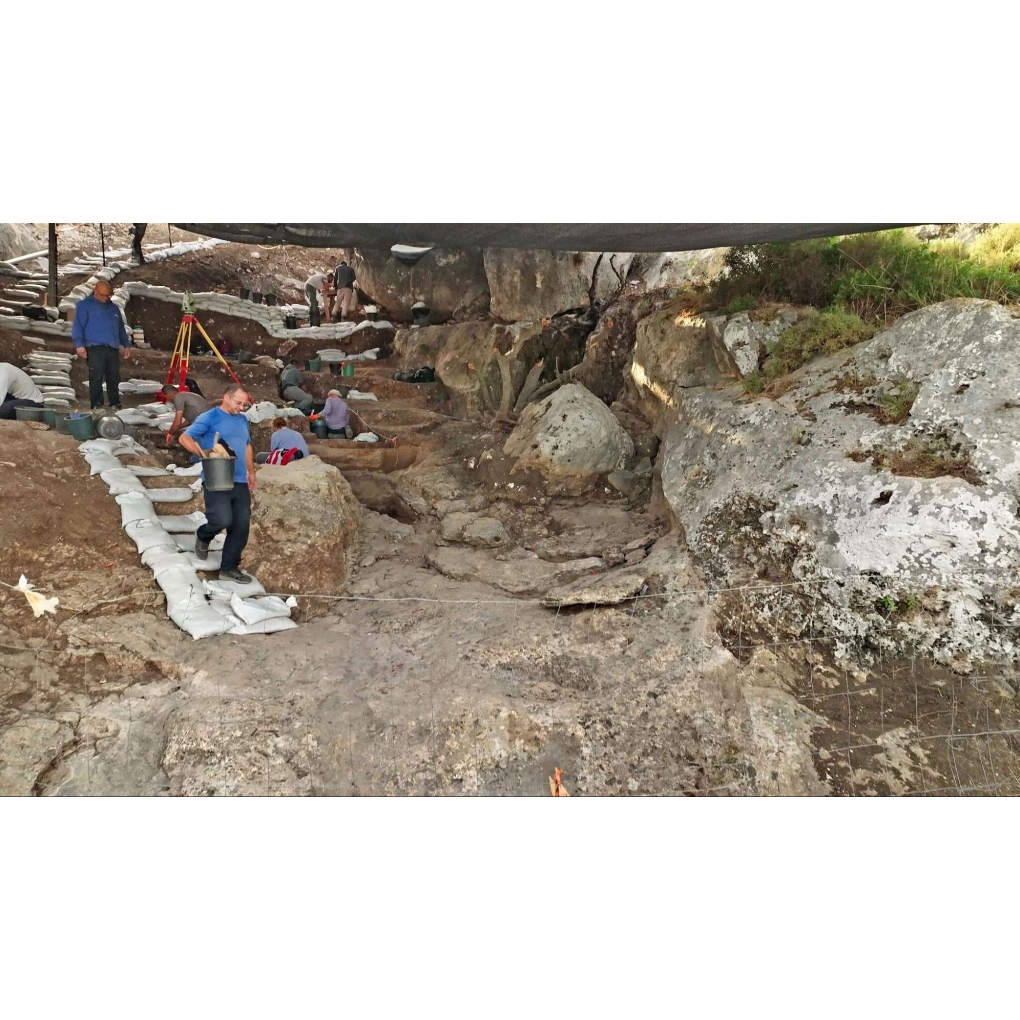 A 400,000-Year-Old Time Capsule Cave Rewrites the Story of Early Humans episode artwork