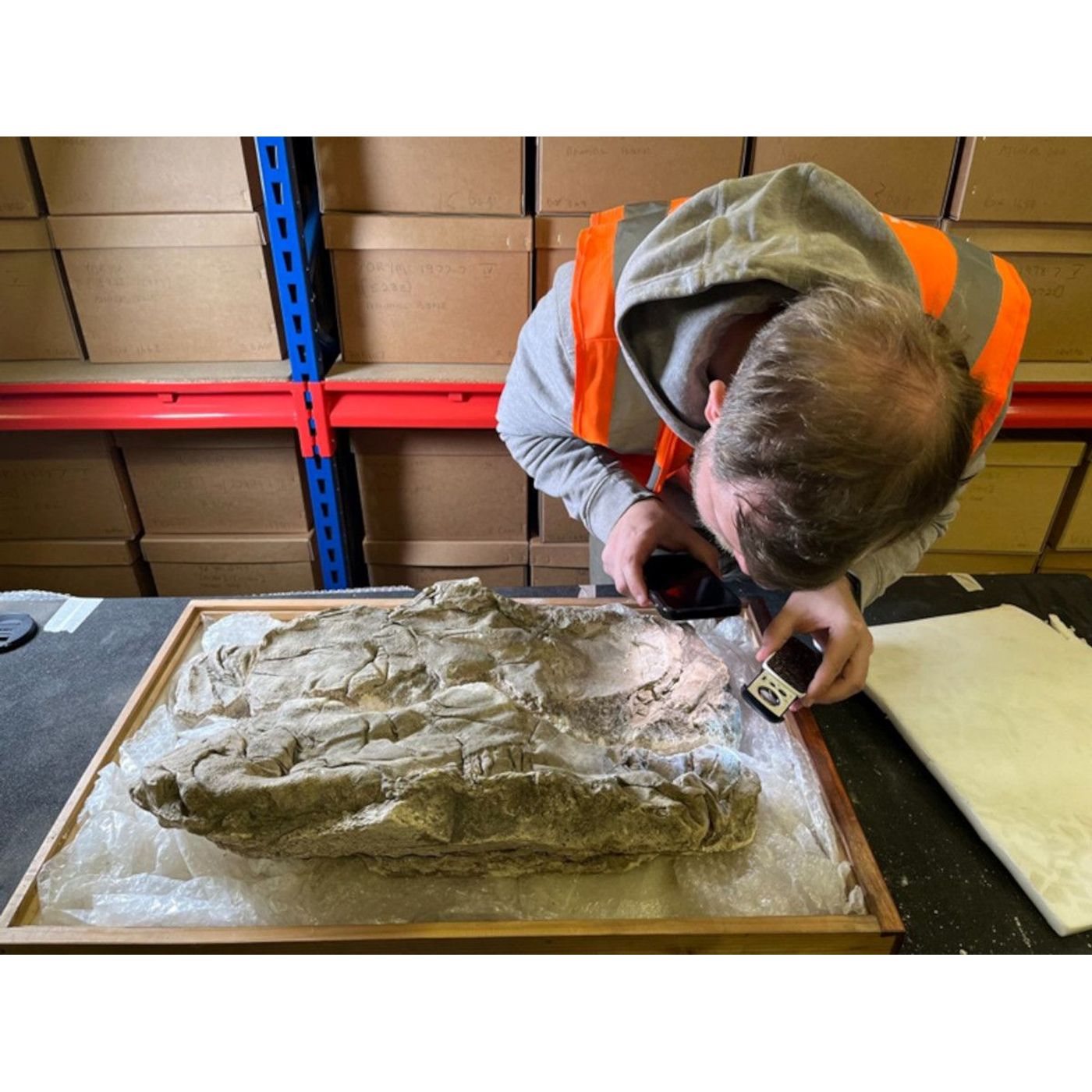 Rare Imperial Purple Cloth Discovered in Roman Infant Burials in York | Ancient Origins episode artwork