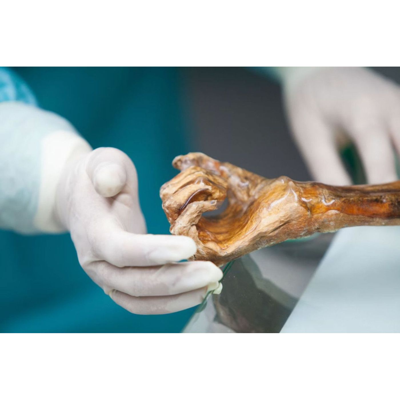 Scientists Make Sourdough Bread With Ancient Yeast From Ötzi the Iceman | Ancient Origins episode artwork