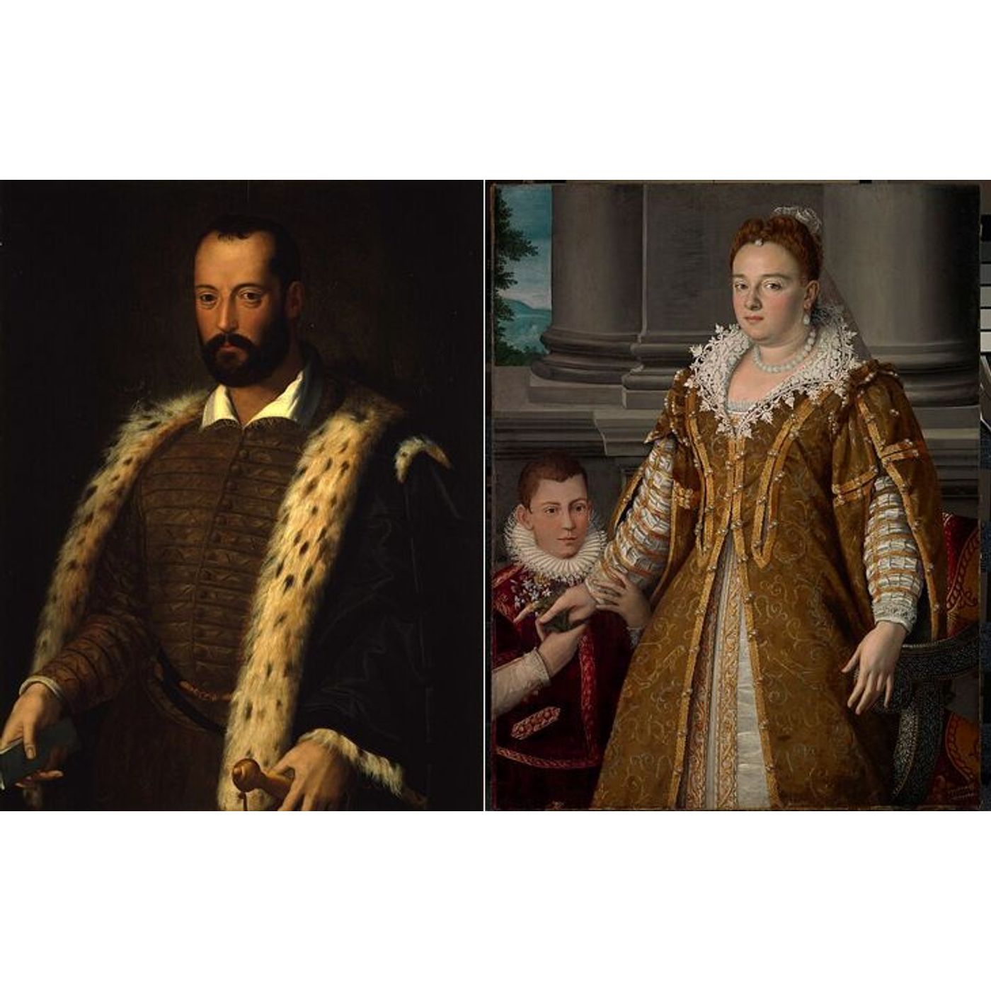 DNA Solves 400-Year Medici Poisoning Mystery: Malaria, Not Murder episode artwork