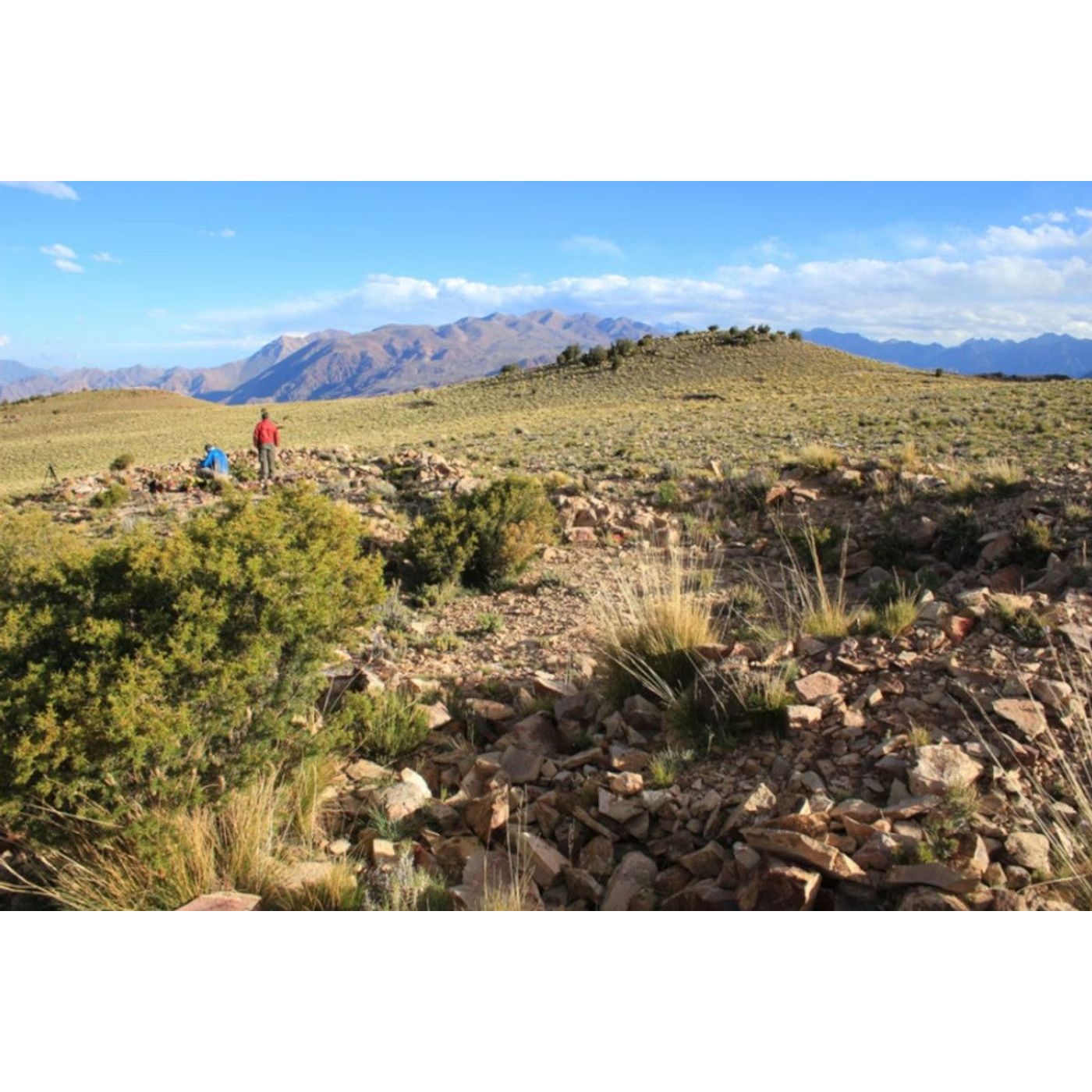 Mendoza Geoglyphs or Something Else? Mystery of Stone Circles Found High in the Andes | Ancient Origins