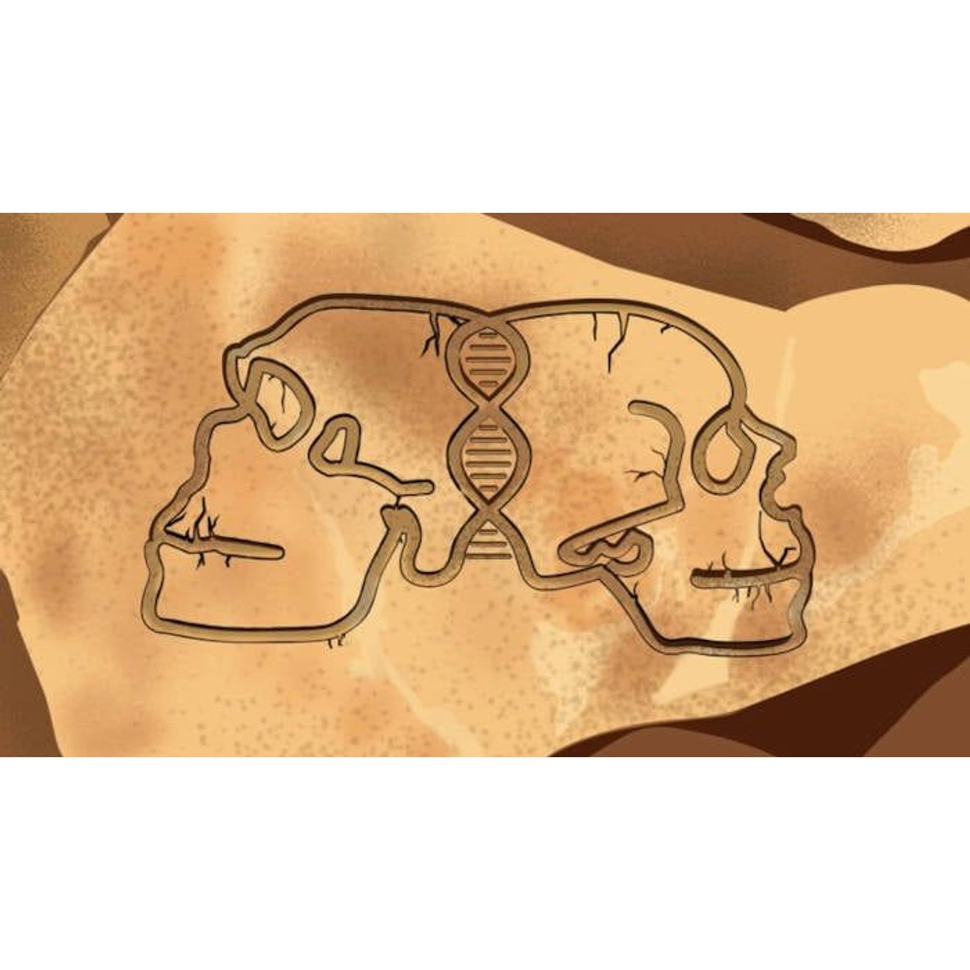 Princeton Study Maps 200,000 years of Human–Neanderthal Interbreeding | Ancient Origins