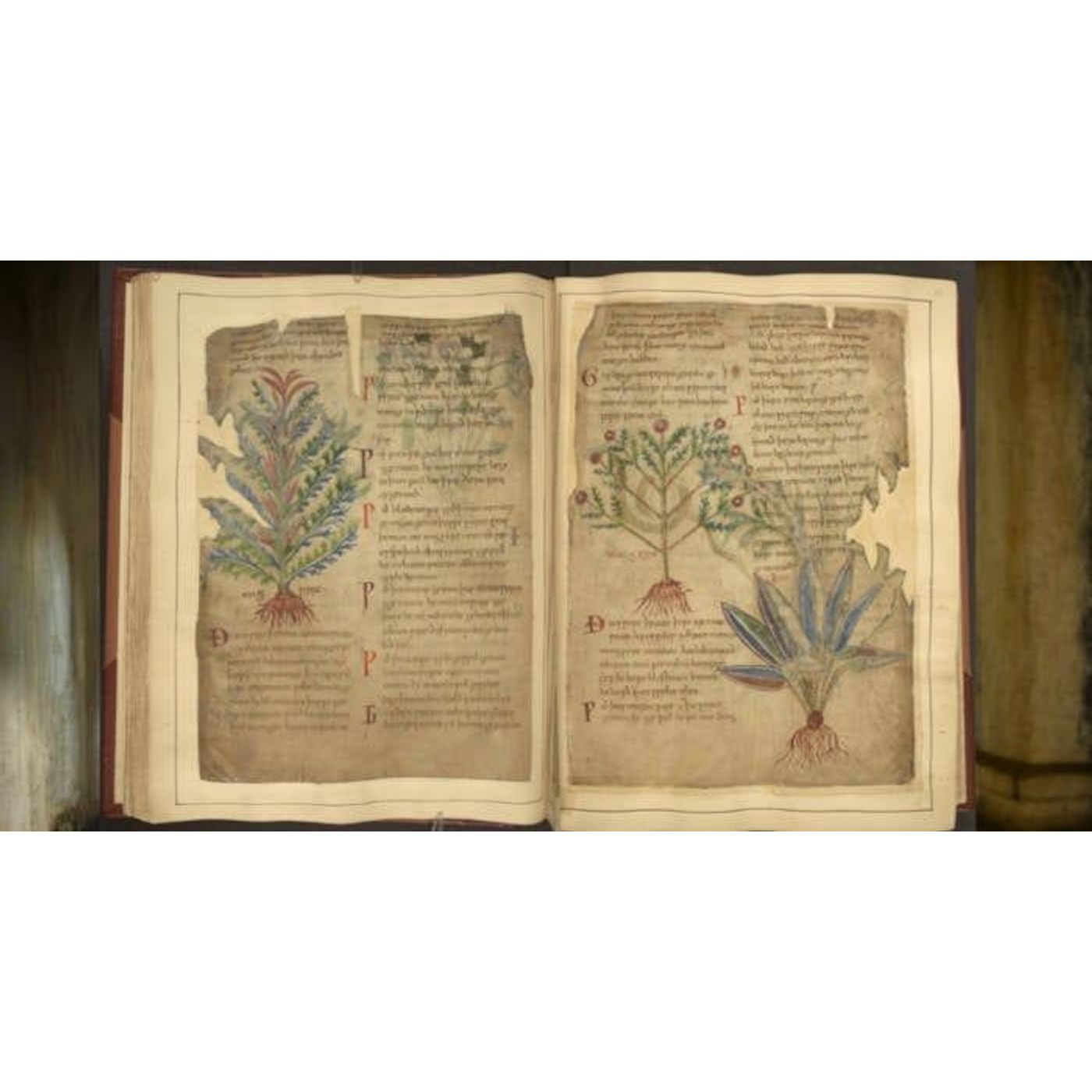 Medieval Medicine Was Smarter Than You Think, and Weirdly Similar to TikTok Trends | Ancient Origins