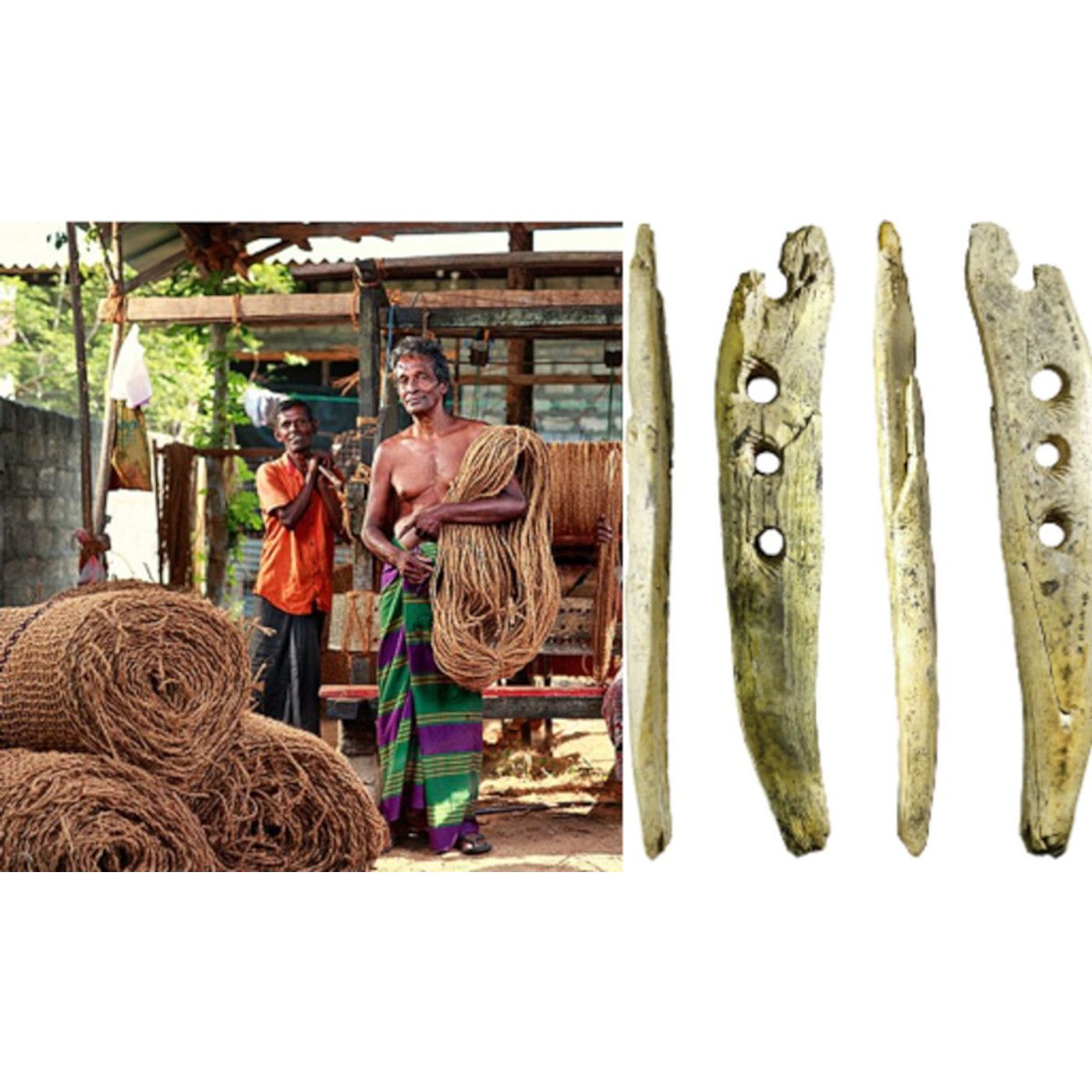 35,000-year-old Rope Tool Reveals the Missing Technologies of Prehistory | Ancient Origins