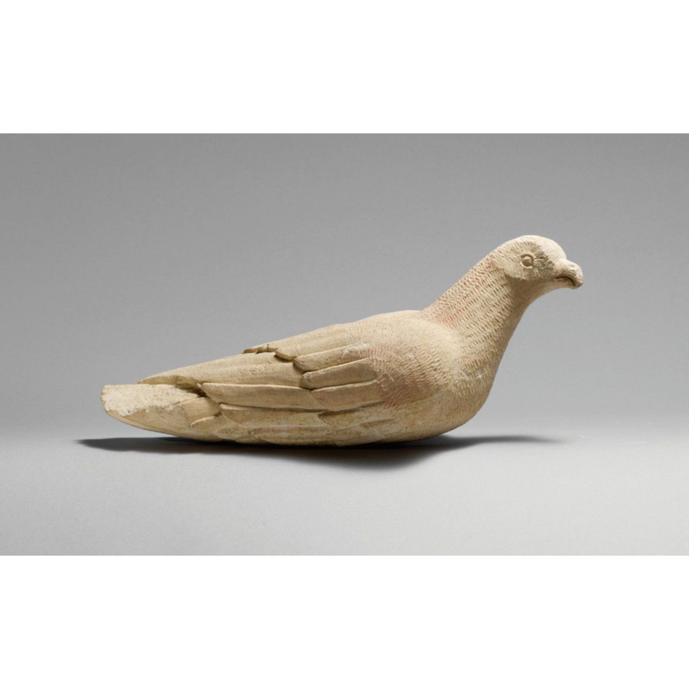 Ancient Pigeons Lived Alongside Humans Up To 3,400 Years Ago | Ancient Origins episode artwork