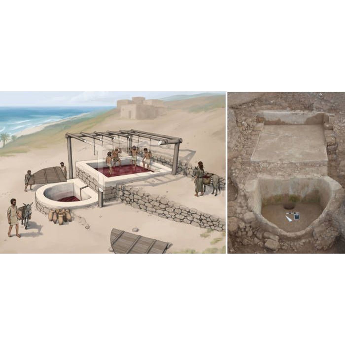 Phoenicians Pioneered Hydraulic Plaster Technology Before Romans | Ancient Origins