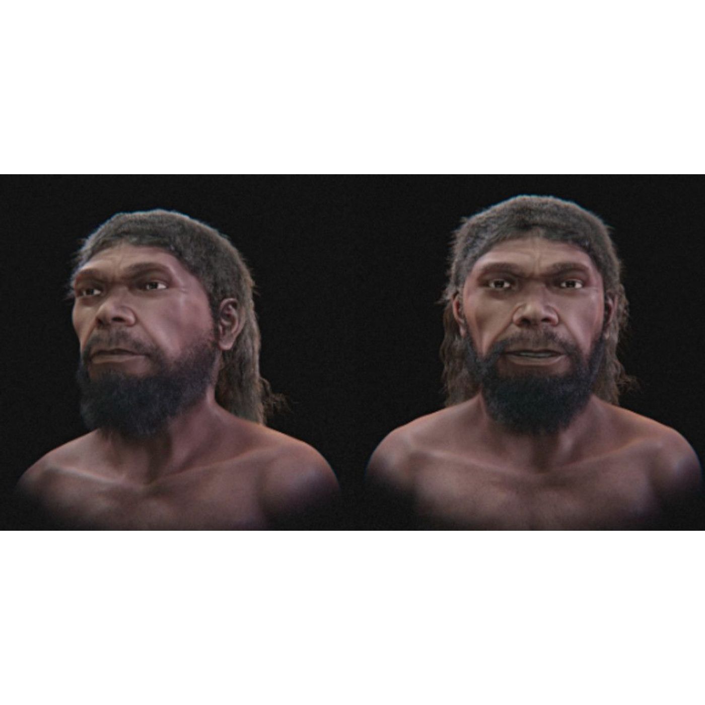 Earliest Modern Human Face Reconstruction from 315,000-Year-Old Fossils | Ancient Origins