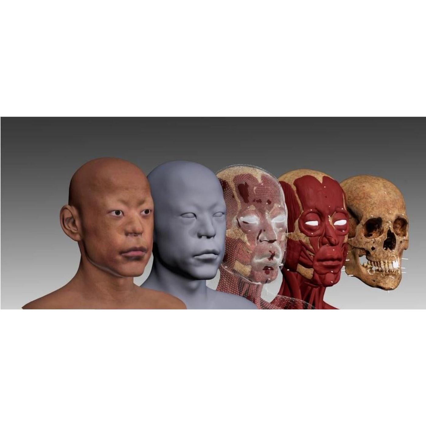 cover of episode Researchers Recreate Face of 5,000-Year-Old Man from Hongshan Culture | Ancient Origins