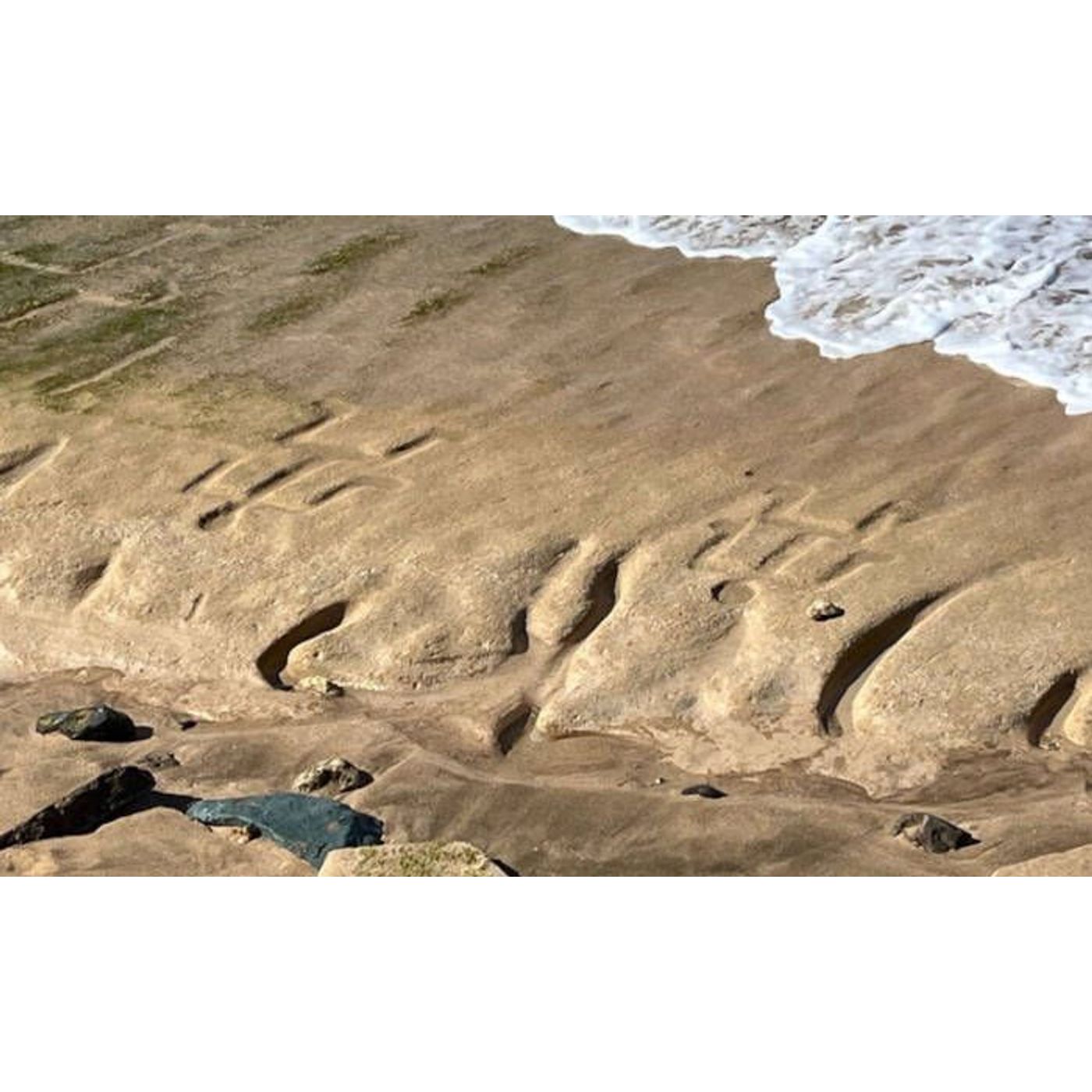 Ocean Waves Unveil 1,000-Year-Old Hawaiian Petroglyphs on Oahu's Shore | Ancient Origins