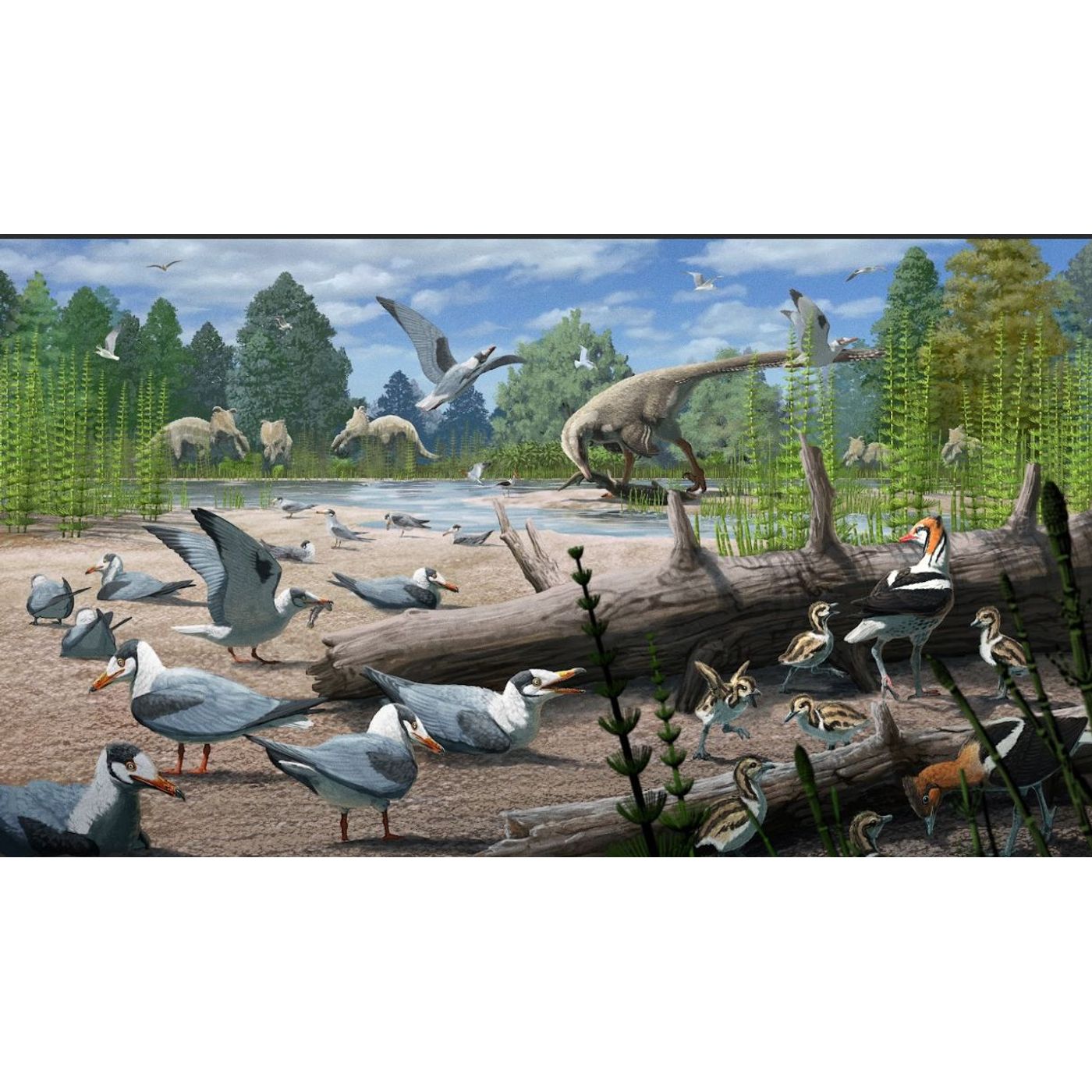 New Study Finds Birds Nested Alongside Dinosaurs in the Ancient Arctic Region | Ancient Origins