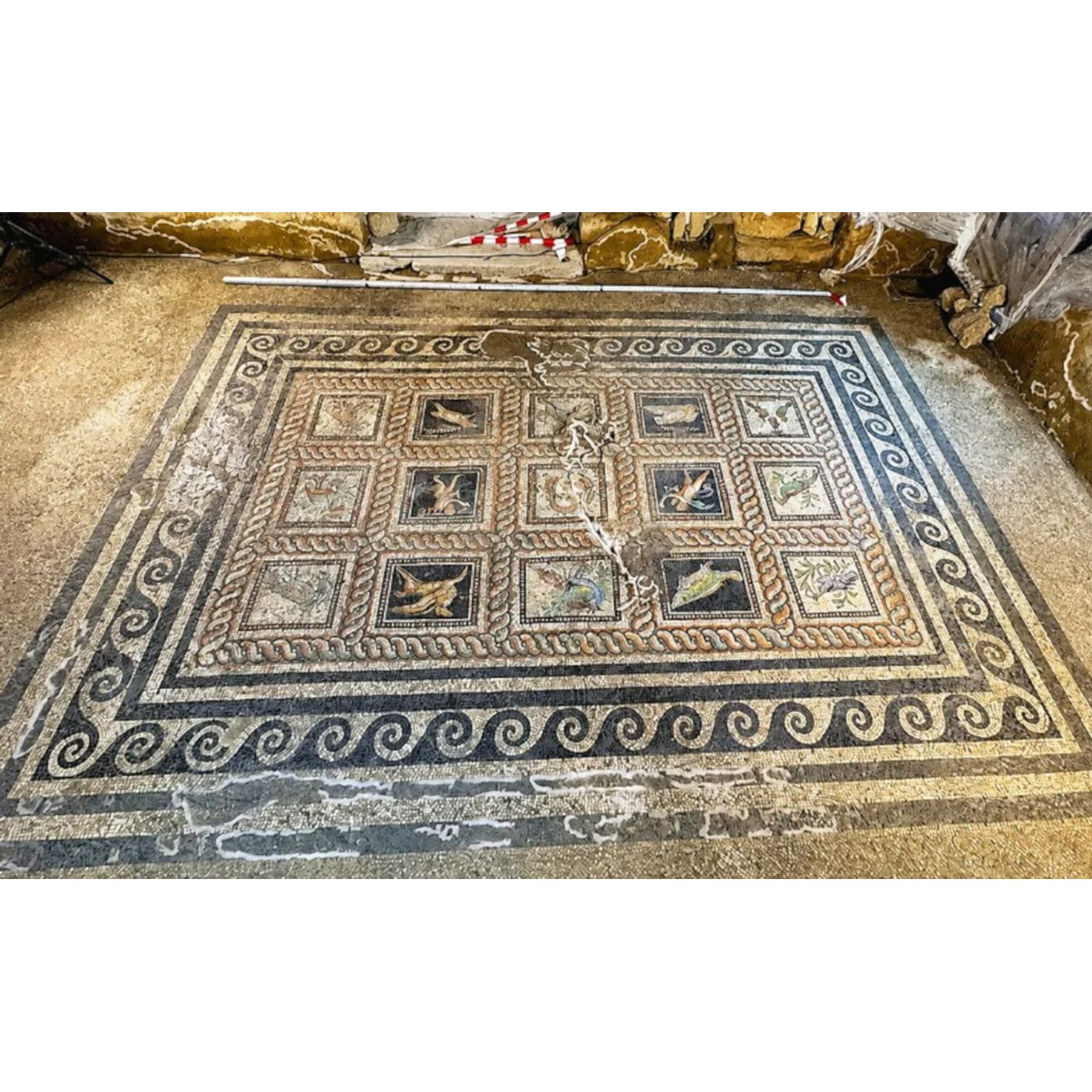 Roman Pet Mosaic Names Emerald the Cat and Ocean the Dog | Ancient Origins episode artwork