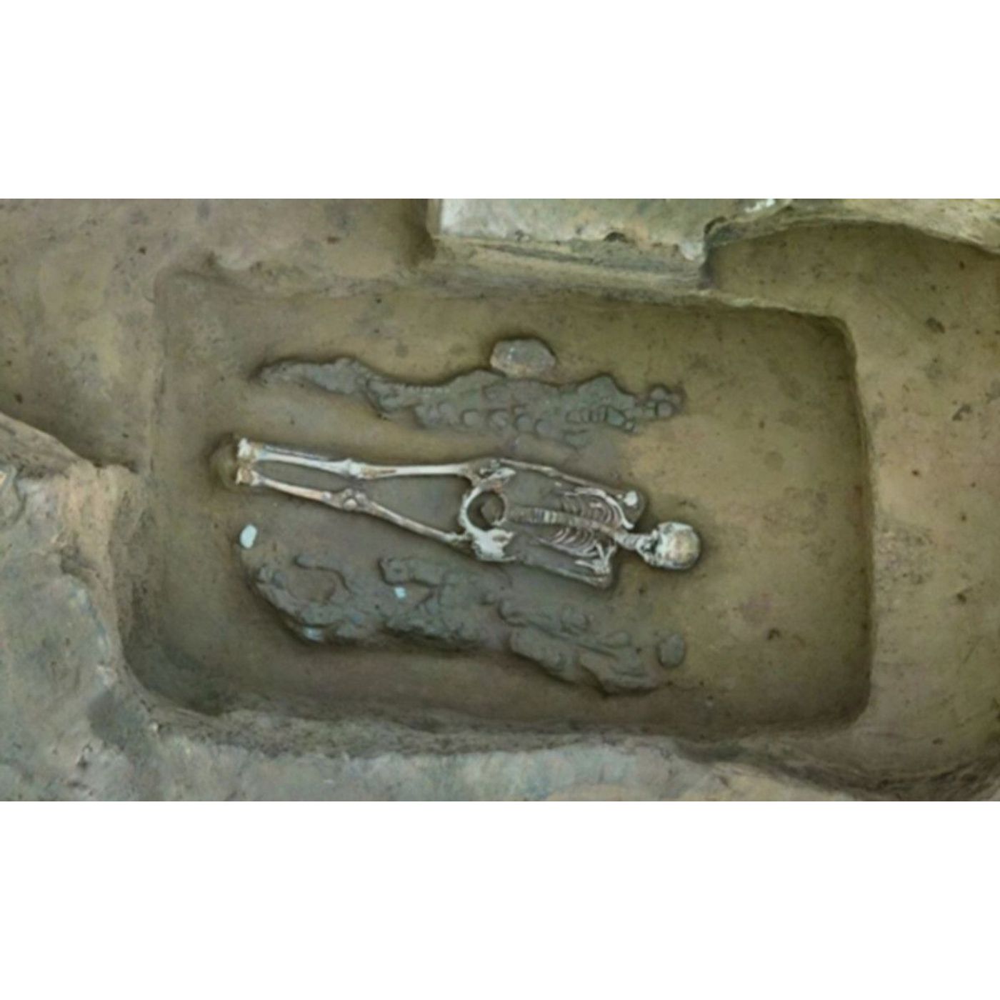 4,300-Year-Old Tomb Reveals Earliest Dragon-Phoenix Pairing | Ancient Origins episode artwork