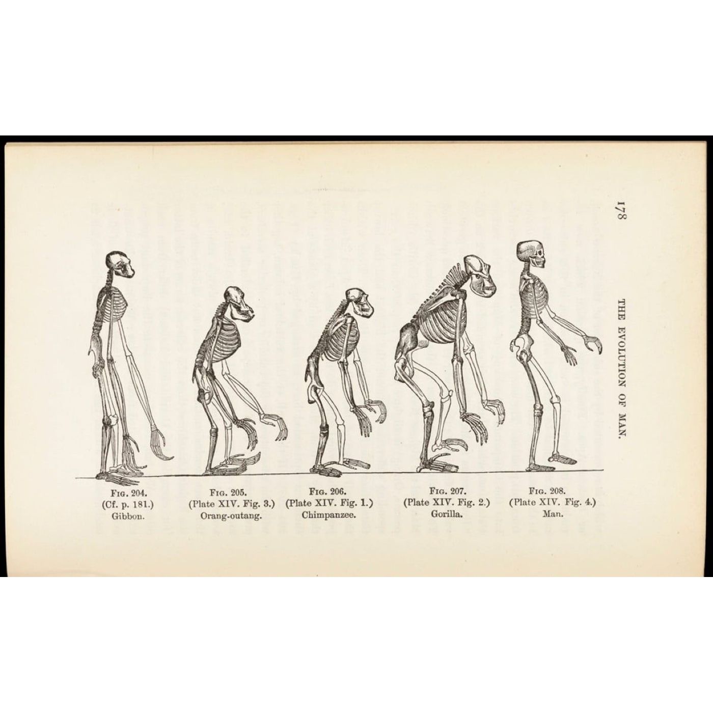 Over 3 Million Years of Changing Cultural Transformation Recorded in New Study | Ancient Origins
