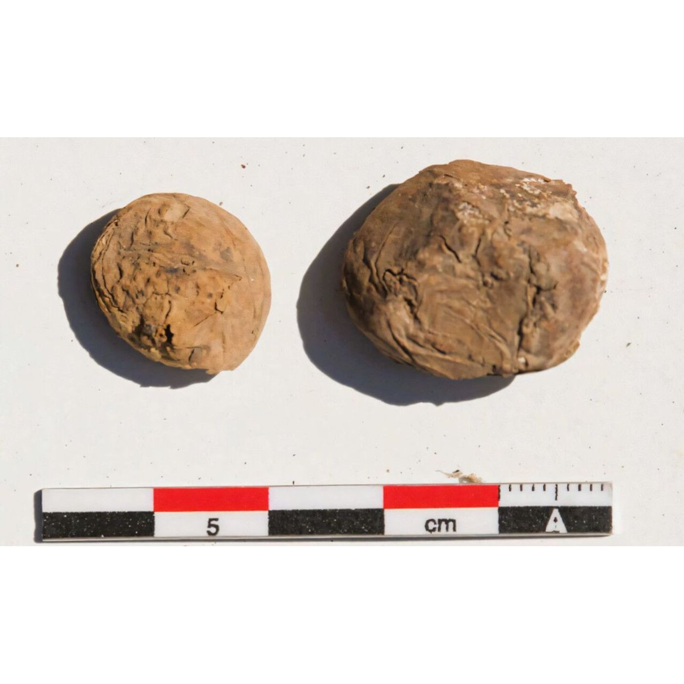 500-Year-Old Freeze-Dried Potatoes Unearthed at Inca Coastal Site | Ancient Origins episode artwork