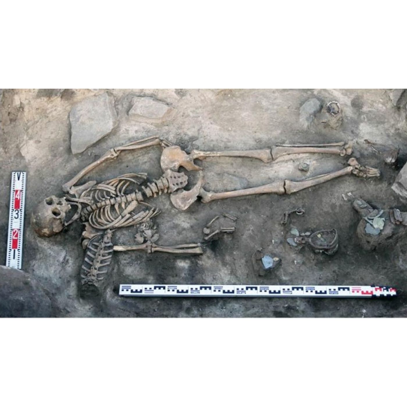 Rare Artifacts and Full Horse Skin Found in Medieval Siberian Burial | Ancient Origins episode artwork