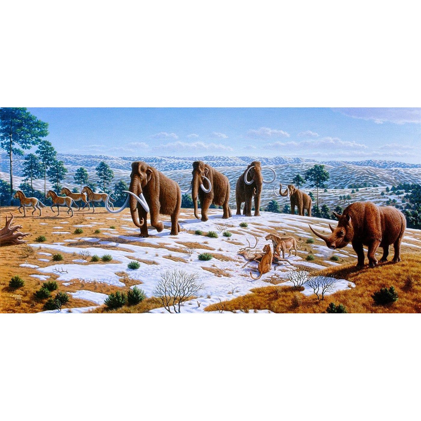 How Ice Age Fauna Adapted and Evolved Across Various Stages of Cold | Ancient Origins