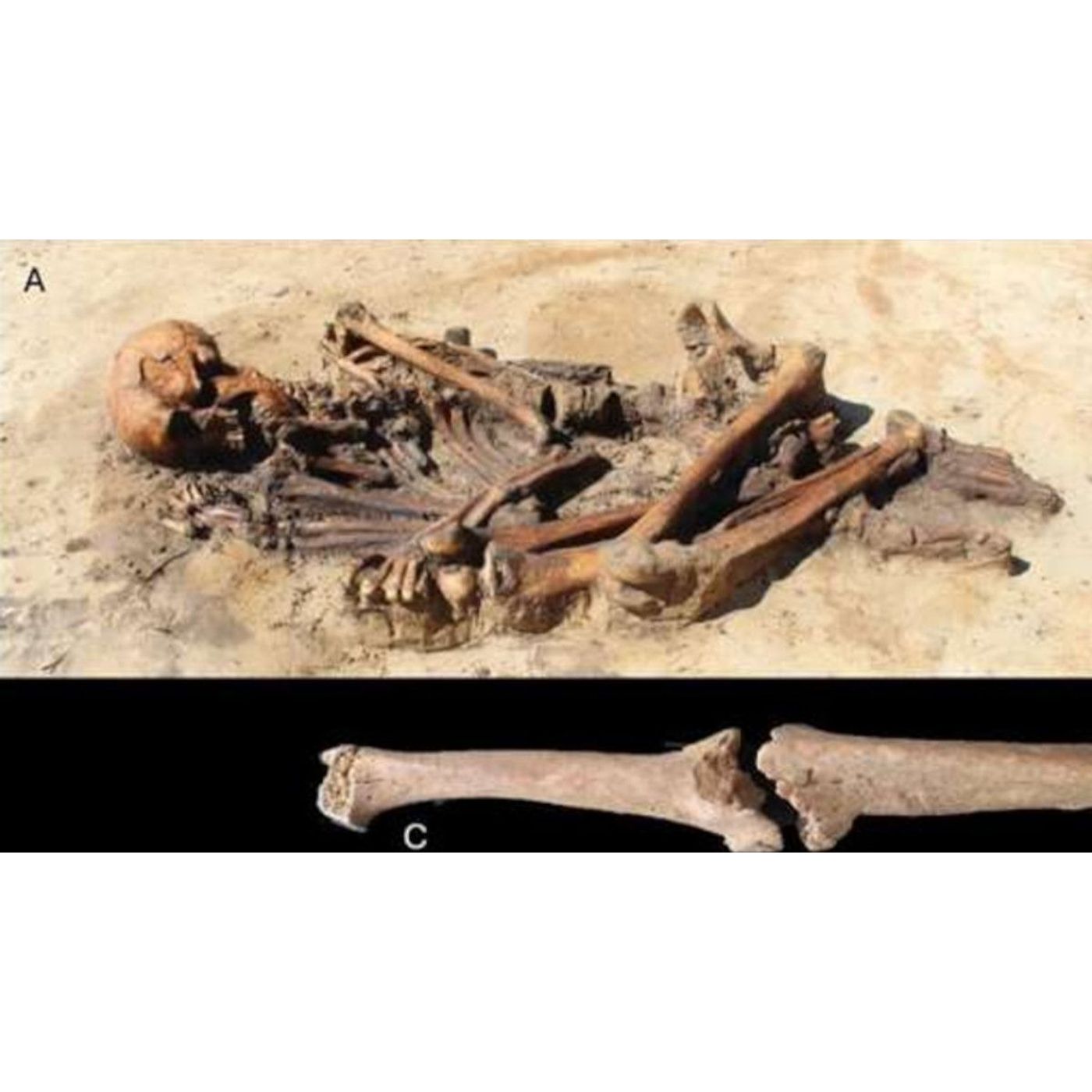 Broken Bones Beneath Floors Reveal Hidden Viking Violence | Ancient Origins