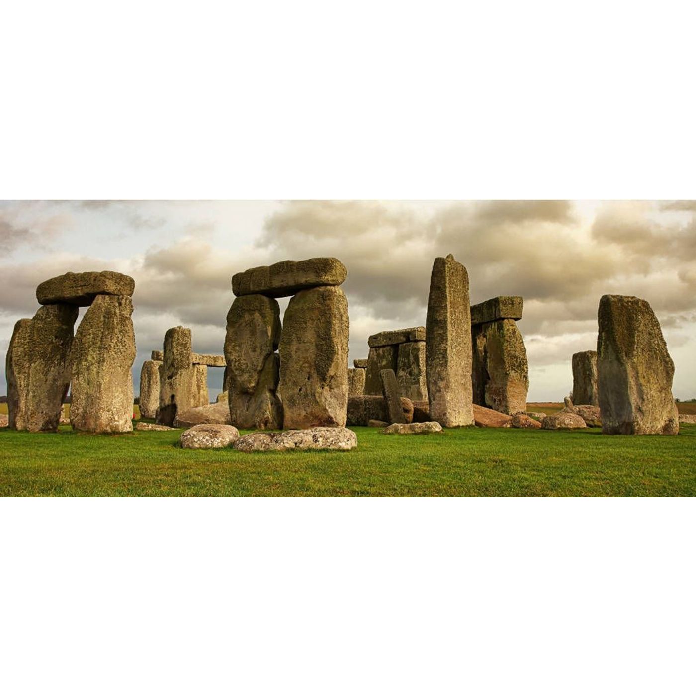 Tooth at Stonehenge Supports 'Cow Power' Transportation Theory | Ancient Origins