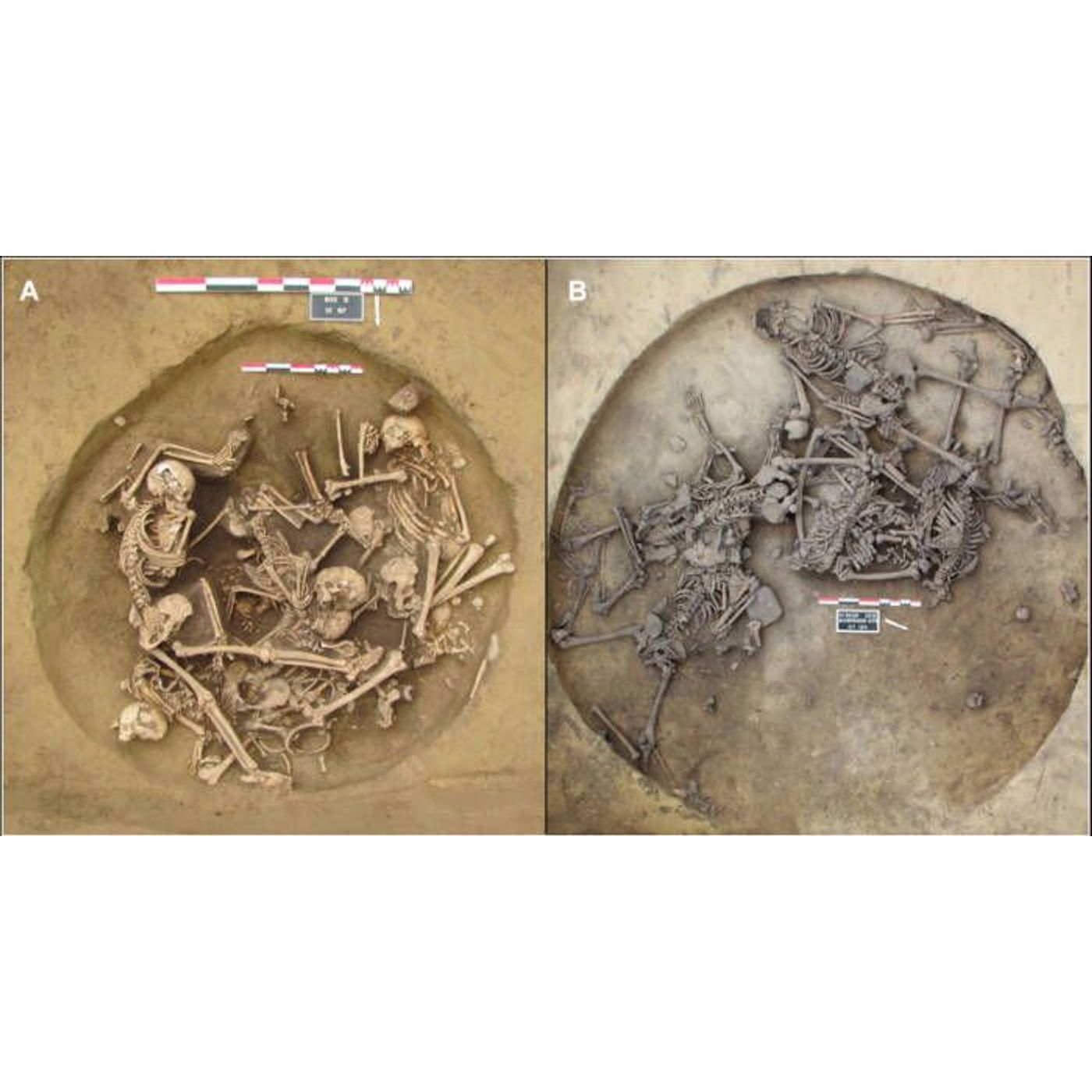 Victory Celebration Pits Reveal 6,300-Year-Old War Horrors | Ancient Origins