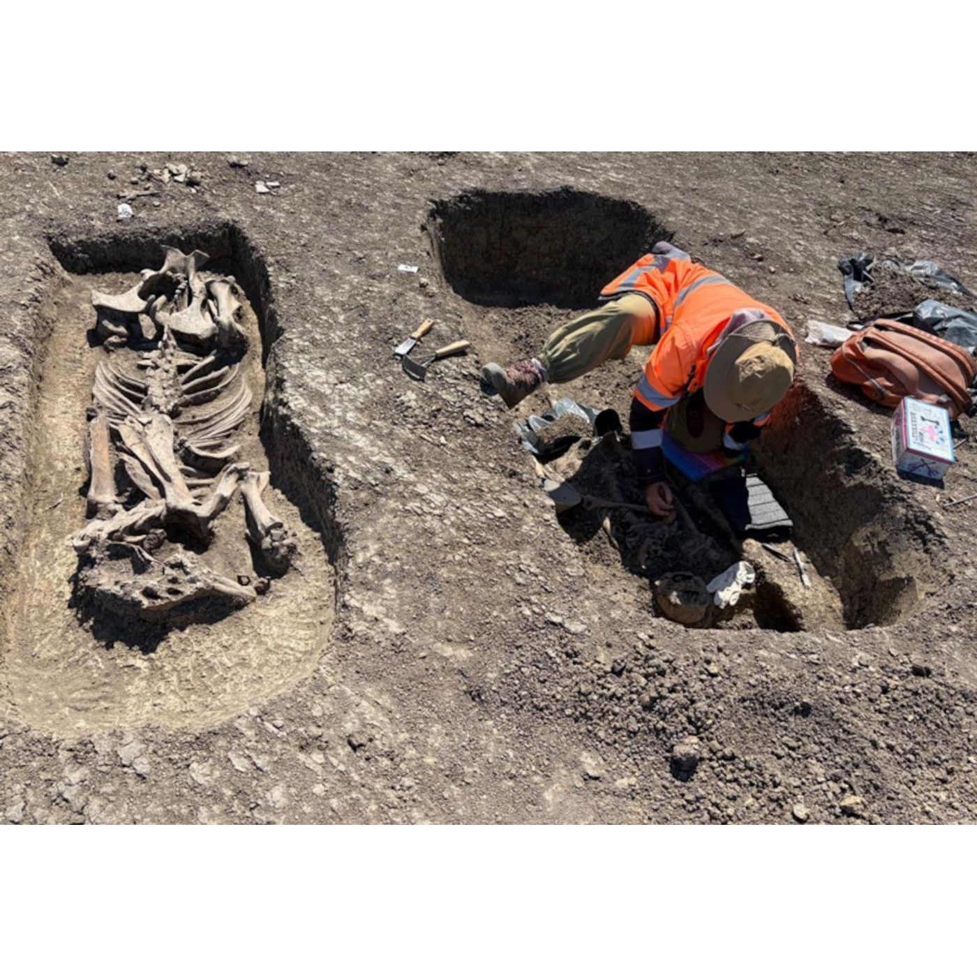 1,400-Year-Old Elite Avar Warrior and Horse Burial Unearthed in Romania | Ancient Origins episode artwork