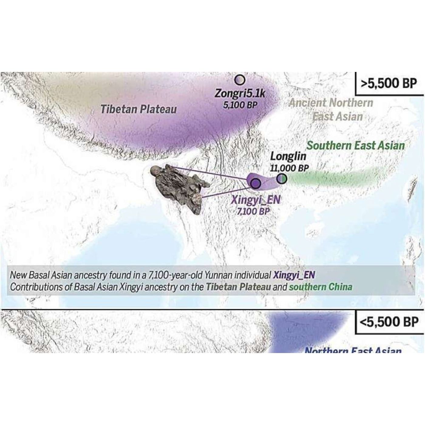 Xingyi Ancestry: The Ghost Lineage of East Asia From the Jungles of Yunnan | Ancient Origins