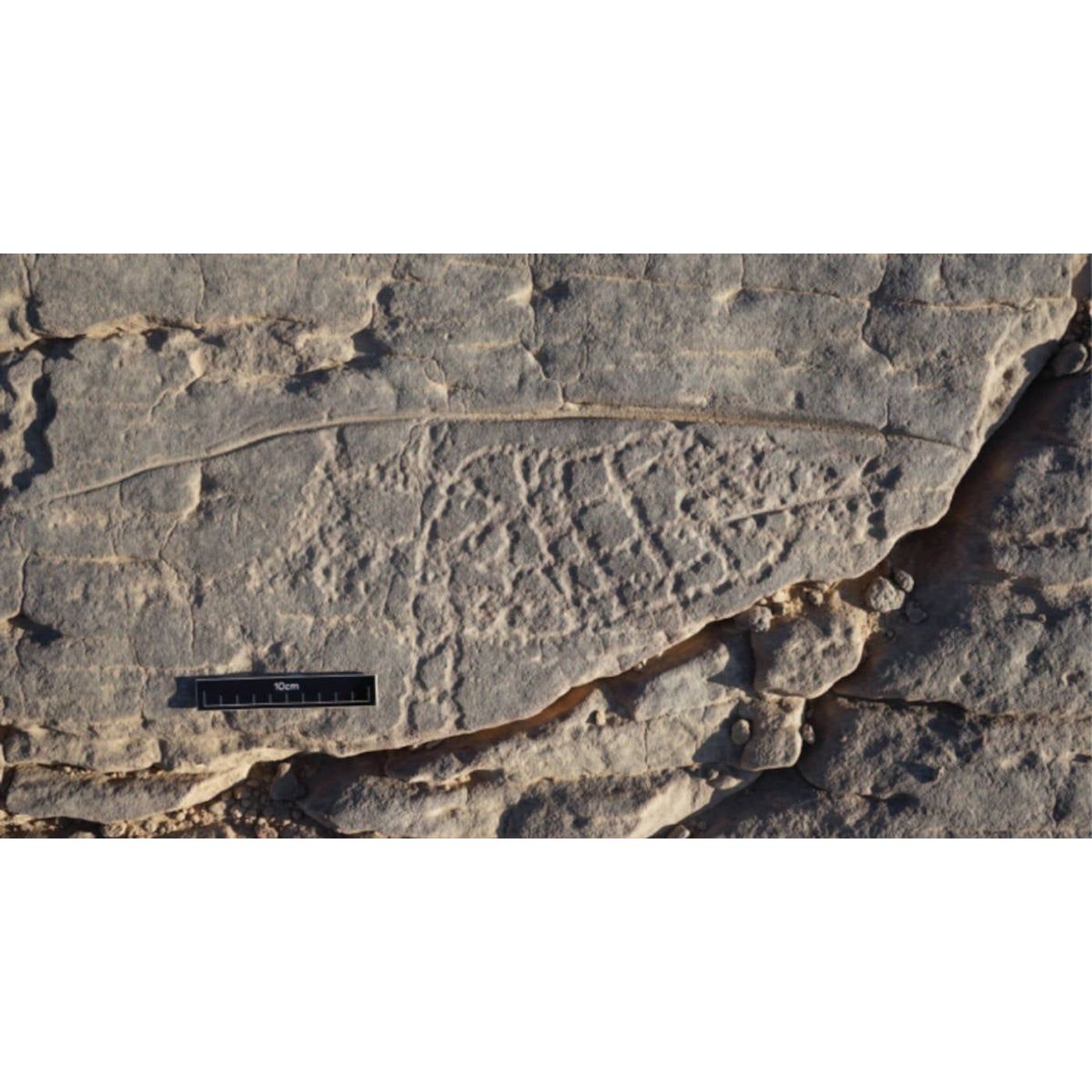 cover of episode Zodiac Symbol of Goat-Fish Found in 2,200-Year-Old Egyptian Rock Art | Ancient Origins