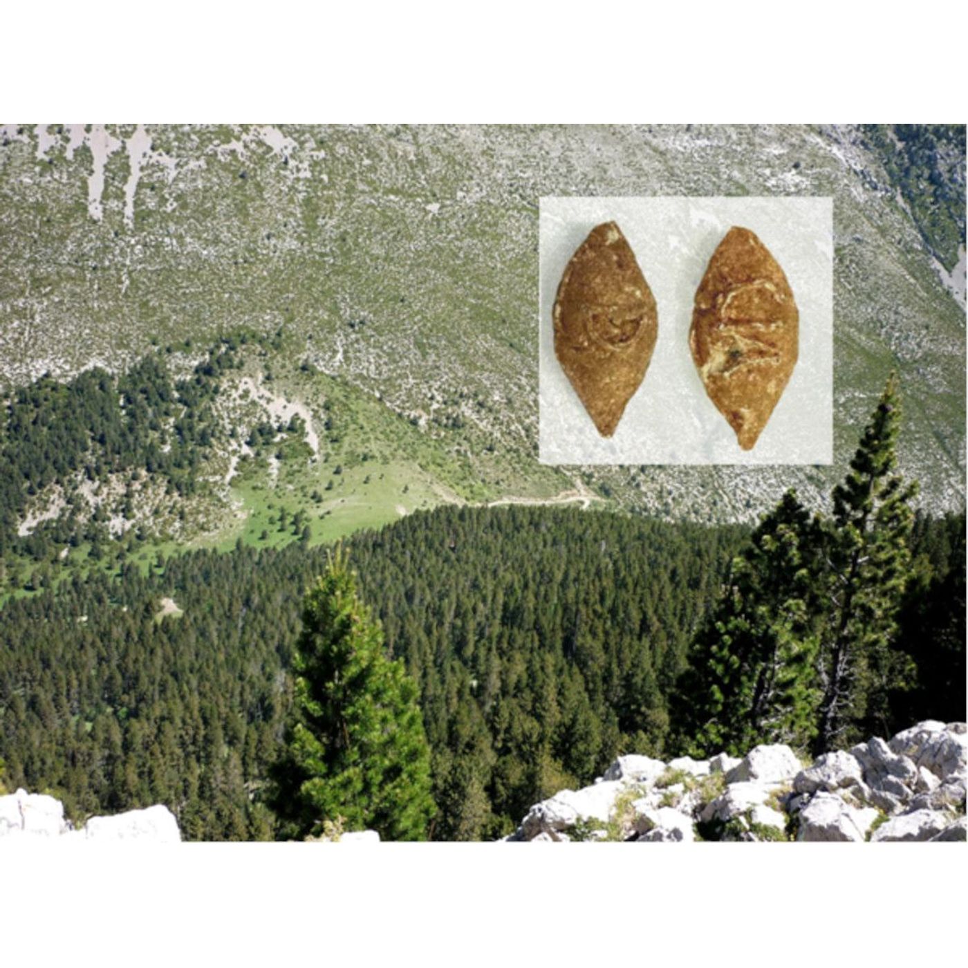 Roman Camp Connected to Suppression of the Ceretani Revolt Found | Ancient Origins episode artwork