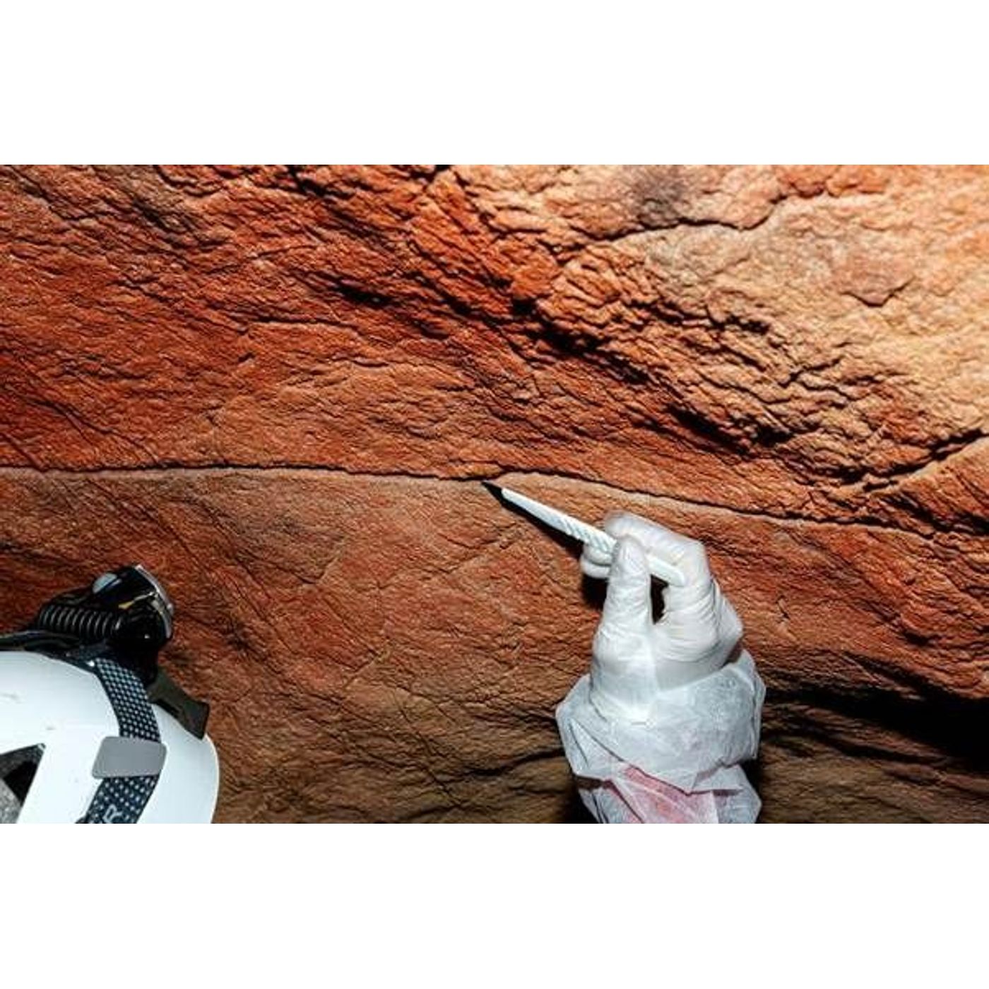 Ancient Human DNA Discovered Hidden Inside Paleolithic Cave Walls for the First Time episode artwork