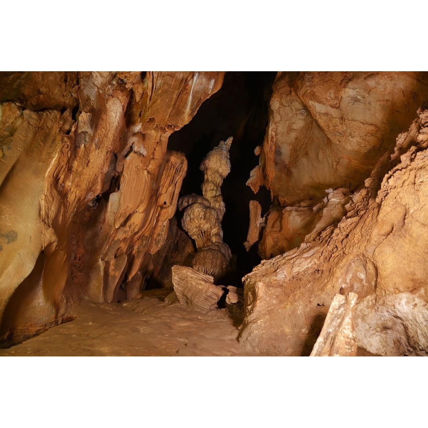 cover of episode Unveiling Talgua Cave: The Glowing Skulls of Honduras' Past | Ancient Origins