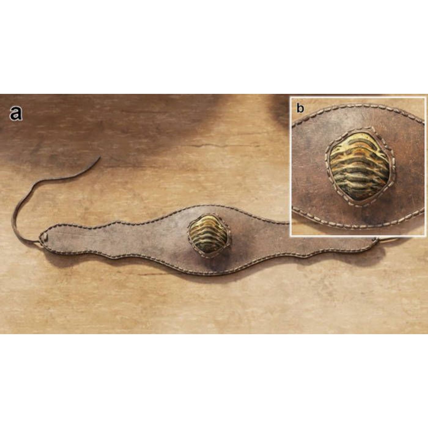 Roman Trilobite Amulet: First Ancient Fossil Jewelry Found in Spain | Ancient Origins