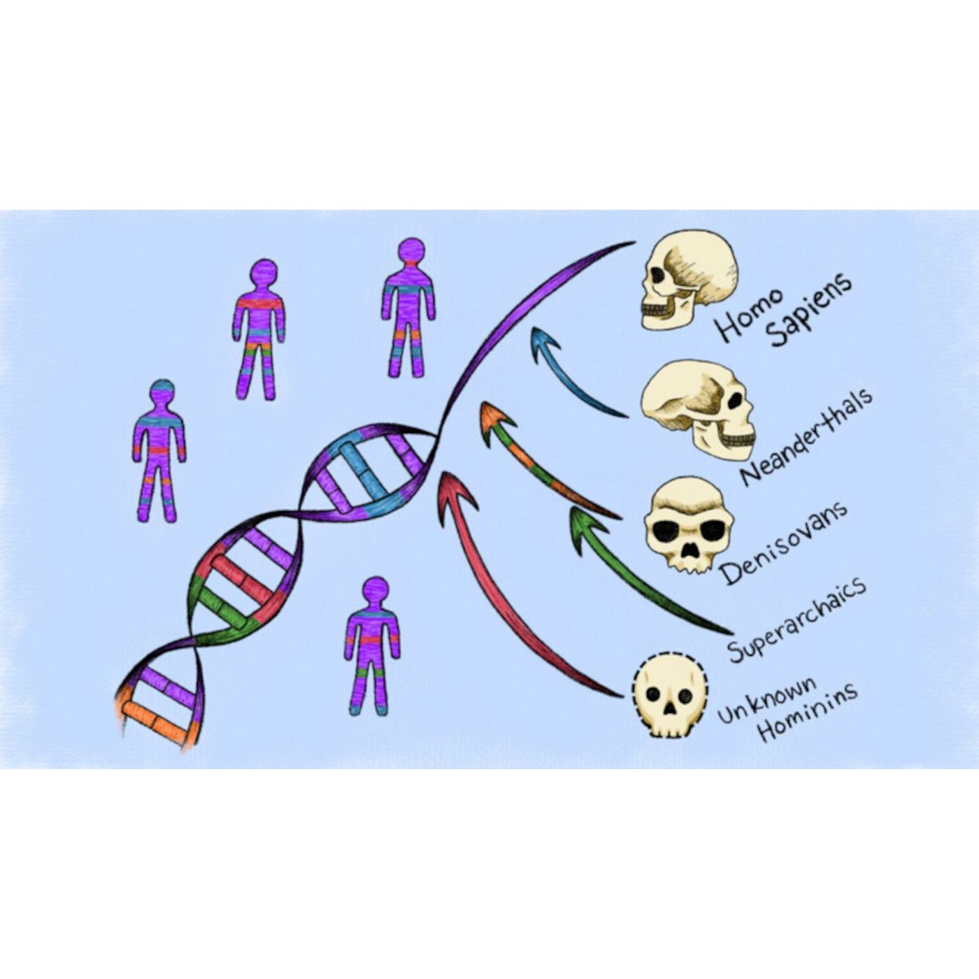Scientists Find Two Unknown 'Ghost' Ancestors Hiding in Our DNA | Ancient Origins episode artwork