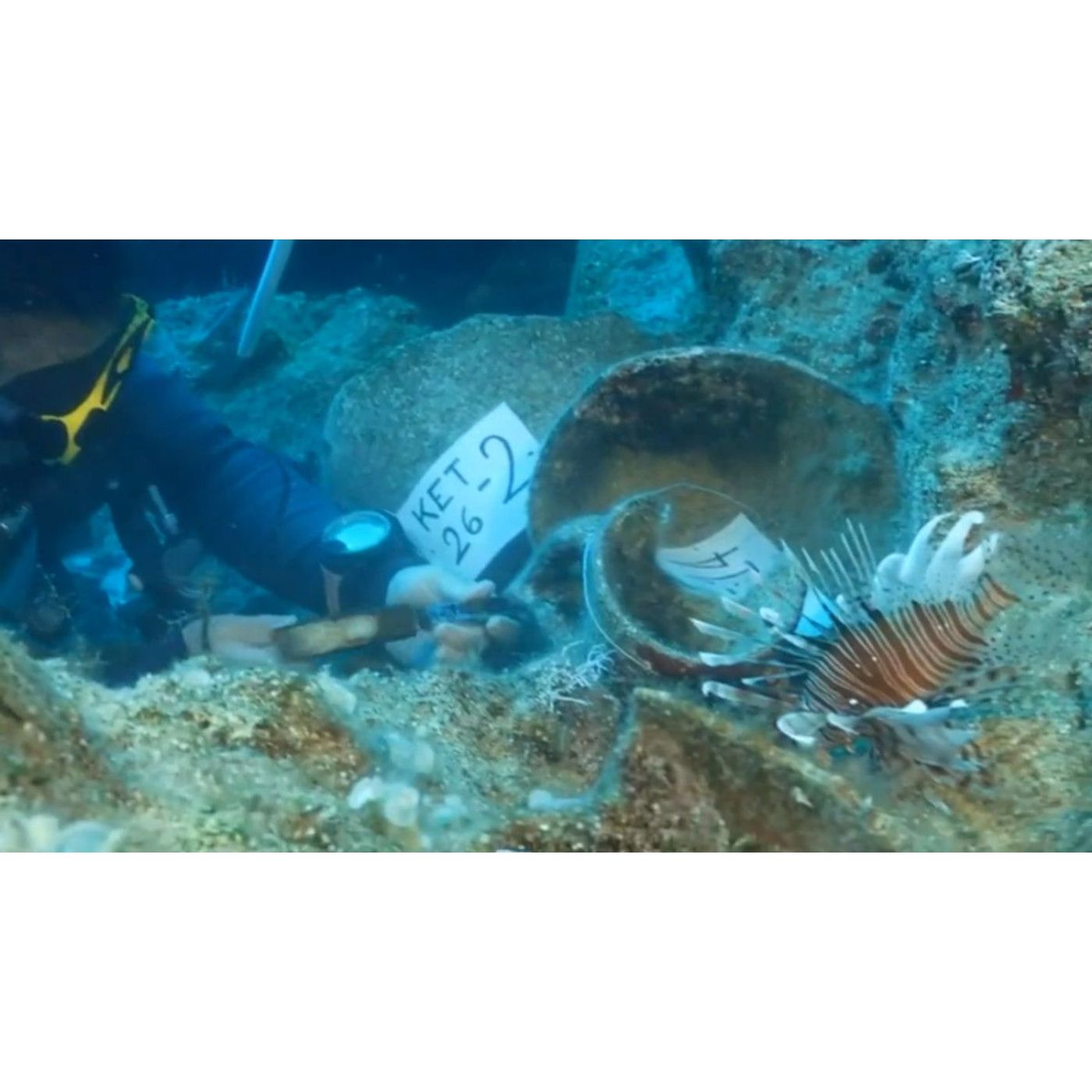 4,700-Year-Old Shipwreck Found Off Turkey Could Be ‘World’s Oldest’ | Ancient Origins