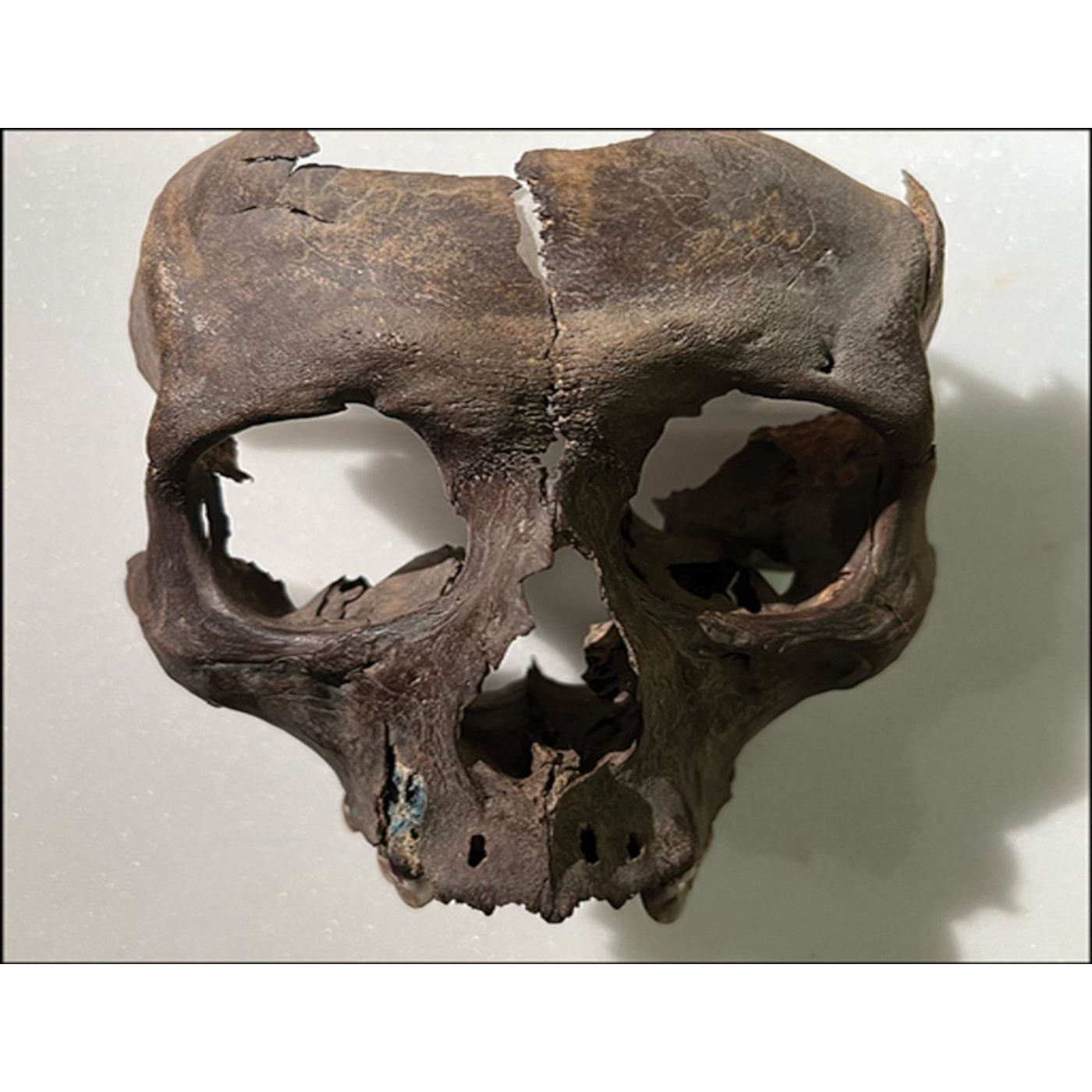 One of Europe’s Earliest Centers of Power Discovered in Ireland | Ancient Origins episode artwork