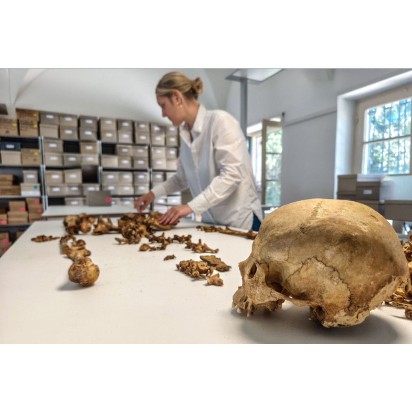 Genome Study Challenges Europe’s Origins Following the Roman Empire | Ancient Origins episode artwork