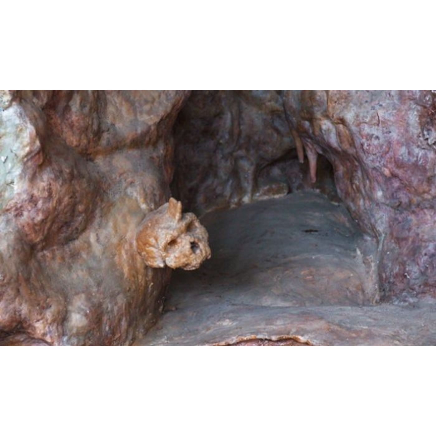Skull that ‘Challenged Out of Africa Theory’ Re-dated – Does this End the Debate? | Ancient Origins