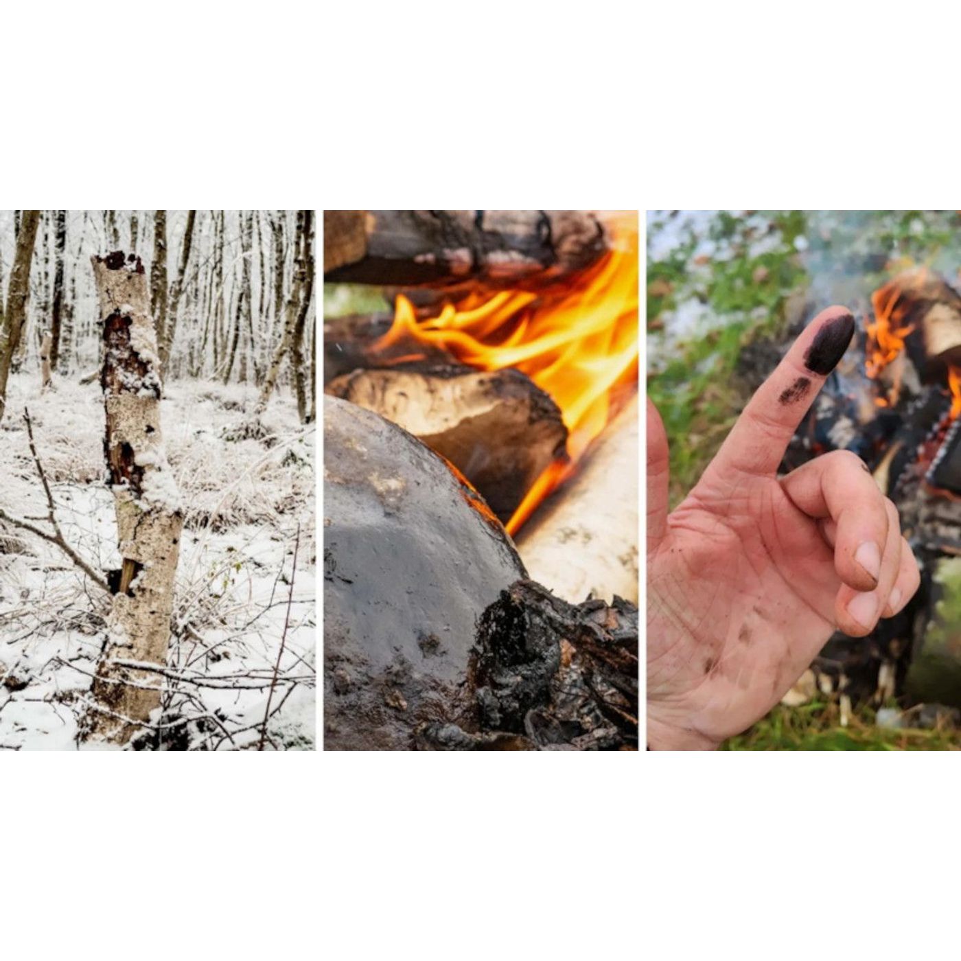 Neanderthal Birch Tar May Have Doubled as Ancient Antibiotic | Ancient Origins