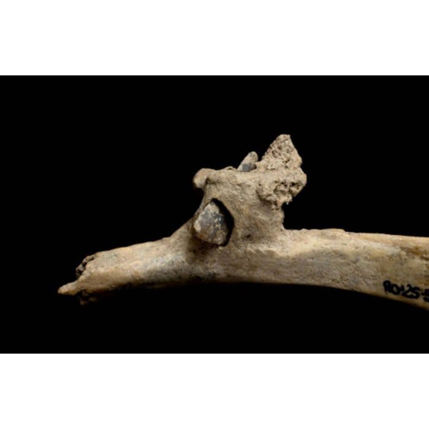 4,000-Year-Old Arrow Reveals Bronze Age Violence in Spanish Pyrenees | Ancient Origins