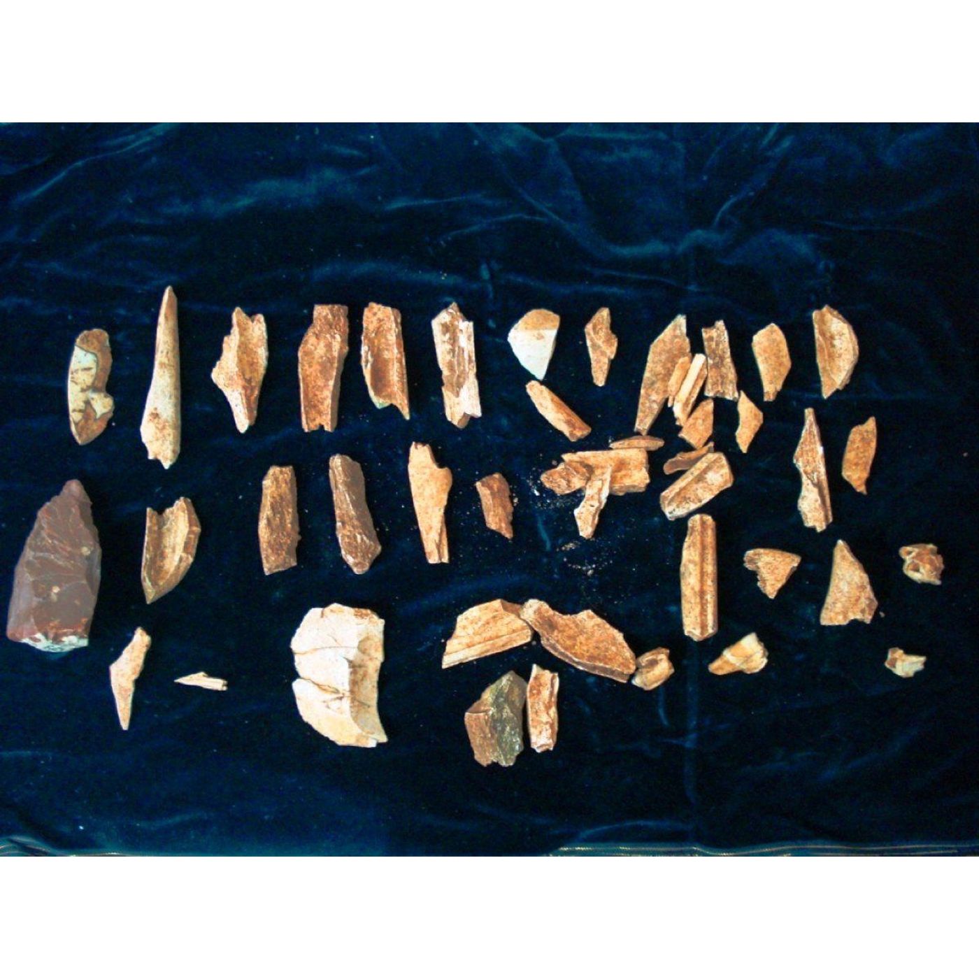 Tools of the Beached Titans: Exquisite Whale Bone Artistry in Ice Age Europe | Ancient Origins
