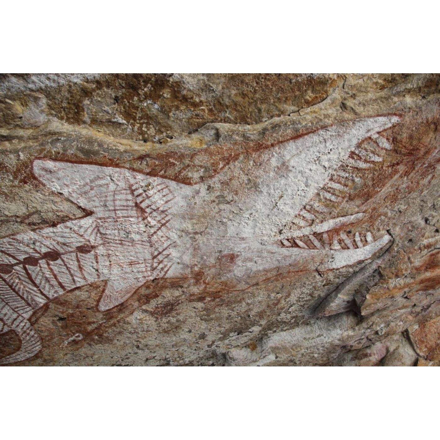Giant Rainbow Serpent Art Defied Colonial Upheaval | Ancient Origins episode artwork
