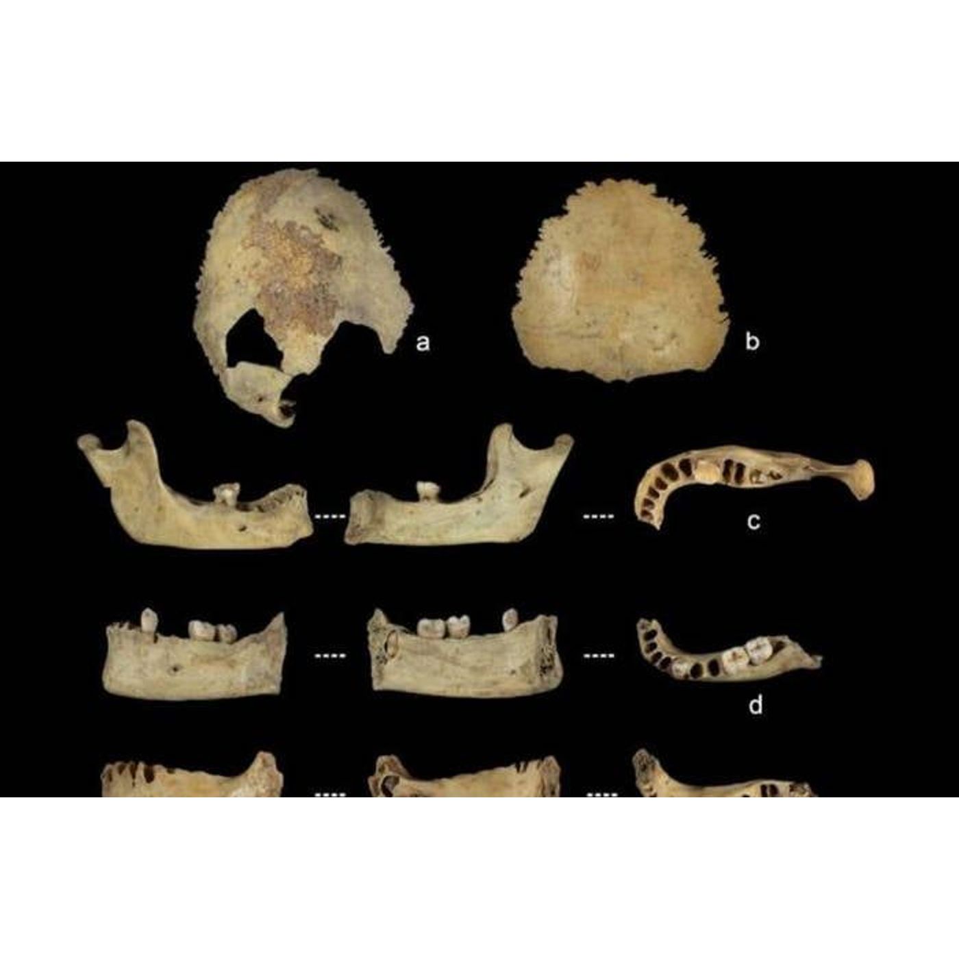 Shocking Discovery: Neolithic Farmers Cannibalized Enemy Families | Ancient Origins