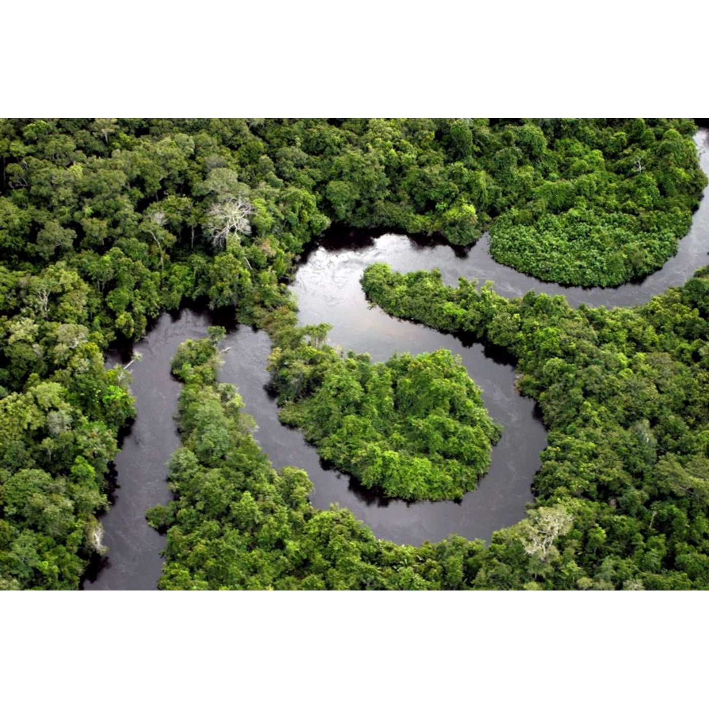 Humans Have Been Burning the Amazon Rainforest for 10,000 Years | Ancient Origins episode artwork