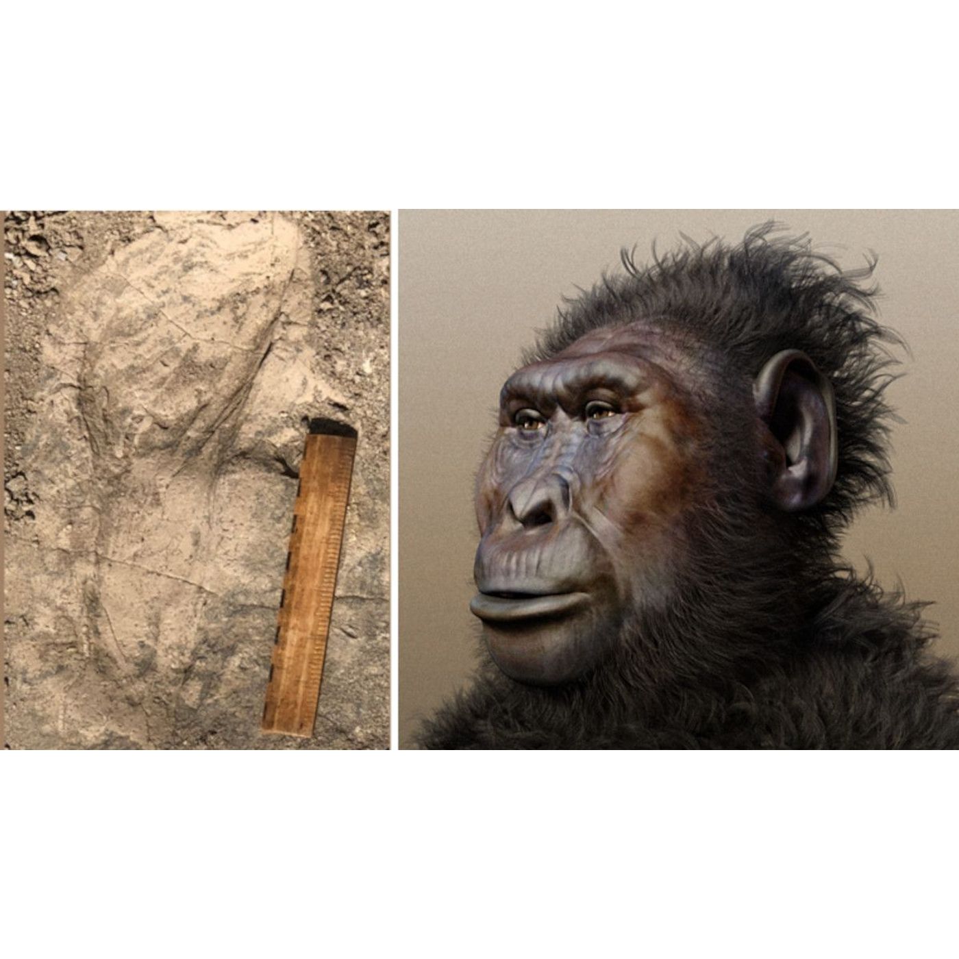 Fossil Footprints Reveal All-Male Hominin Gangs Roamed in Ancient Times | Ancient Origins episode artwork